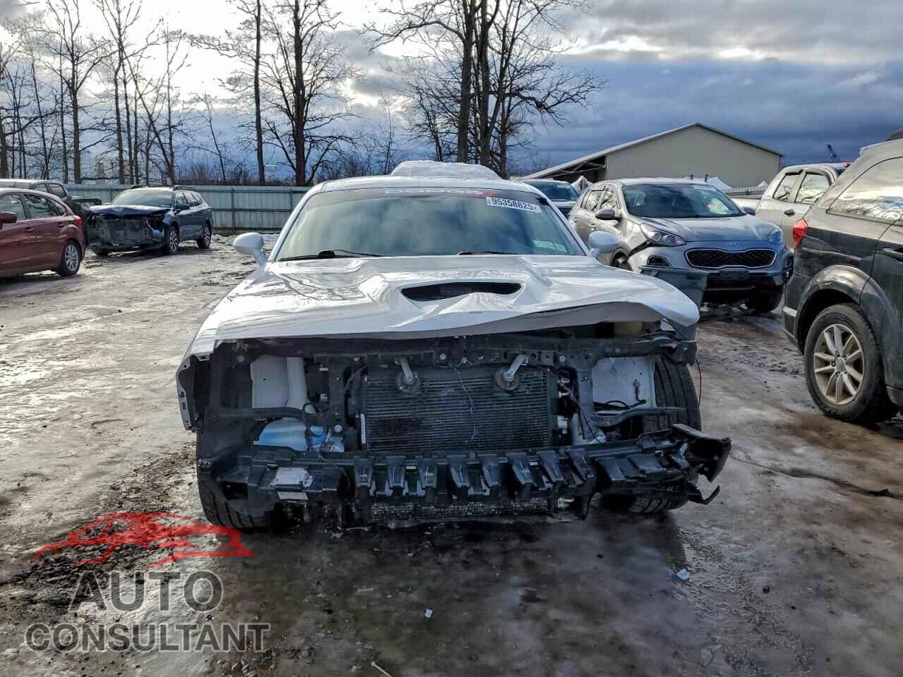 DODGE CHALLENGER 2019 - 2C3CDZBT8KH513416