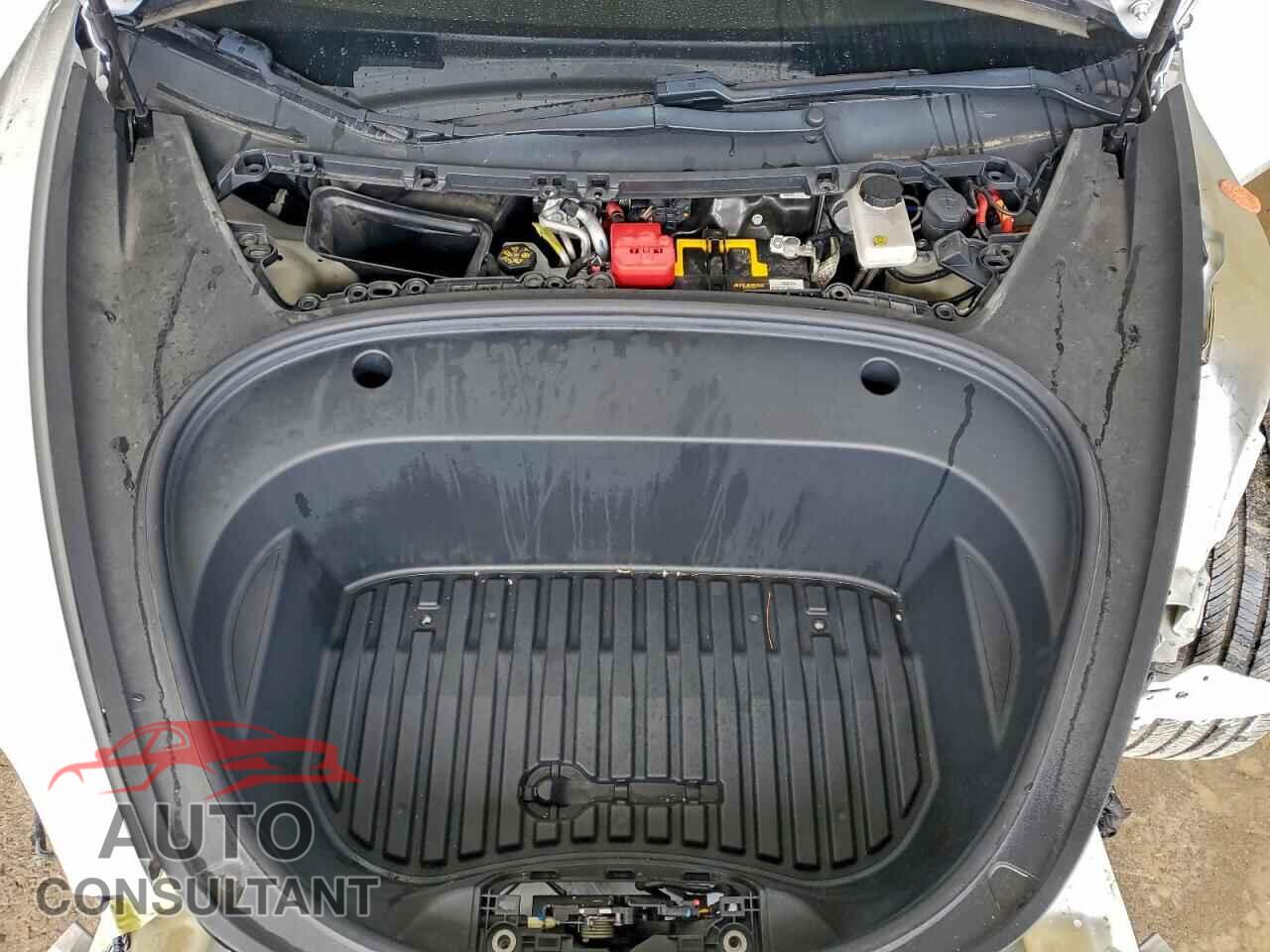 TESLA MODEL 3 2021 - 5YJ3E1EC4MF029547