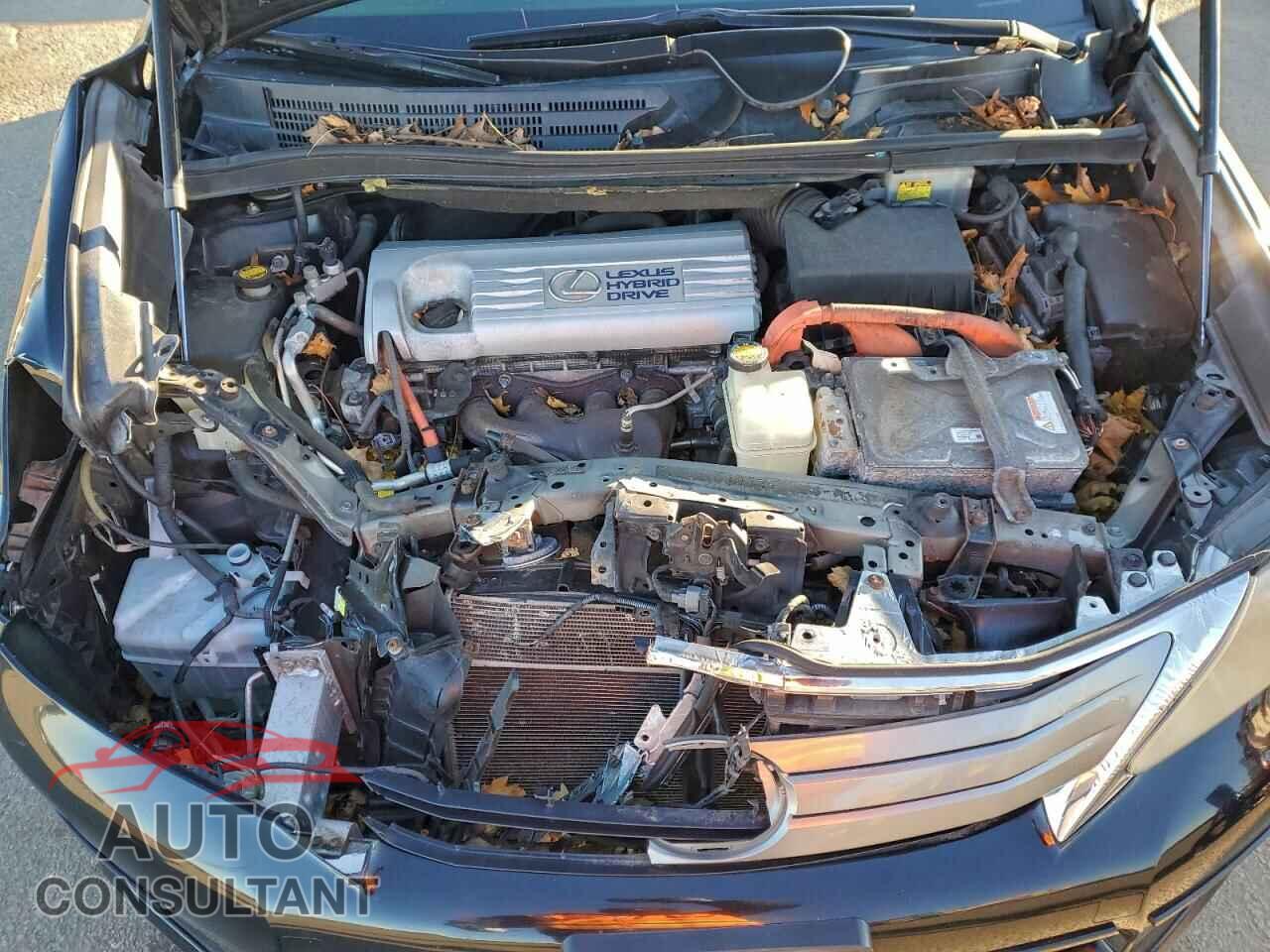 LEXUS HS 2010 - JTHBB1BA0A2029534