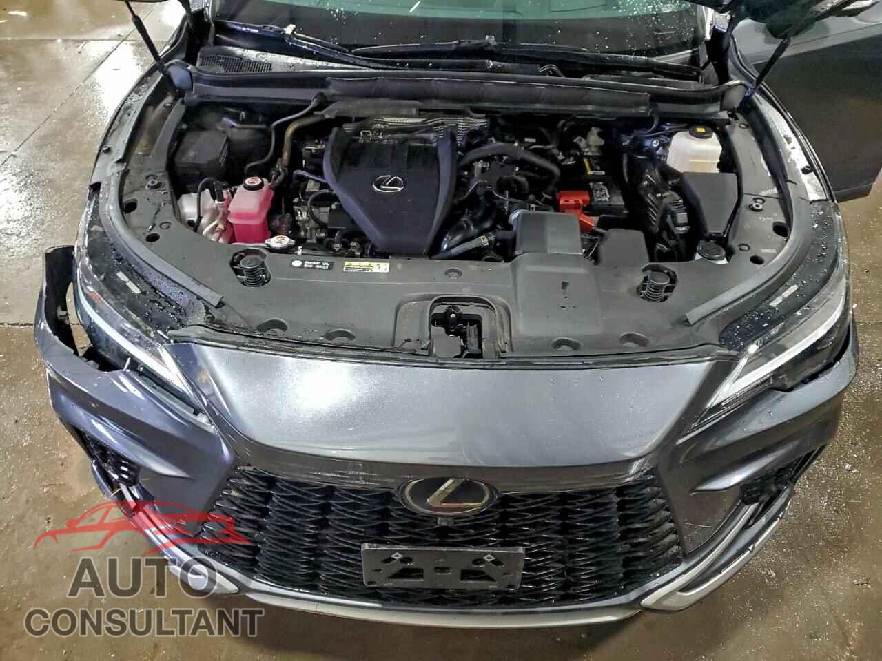 LEXUS RX350 2024 - 2T2BAMCA2RC045487