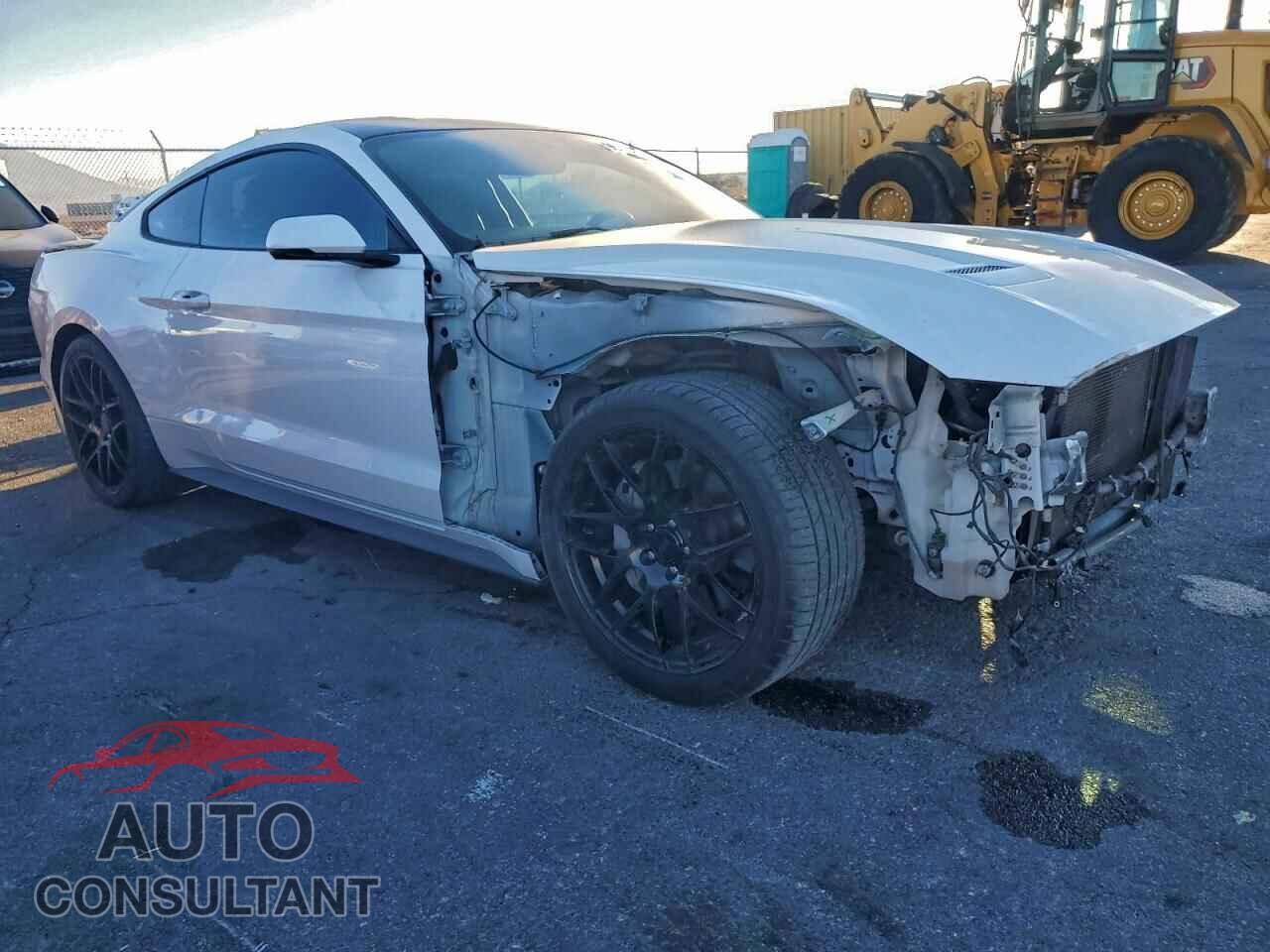 FORD MUSTANG 2019 - 1FA6P8CF8K5154214