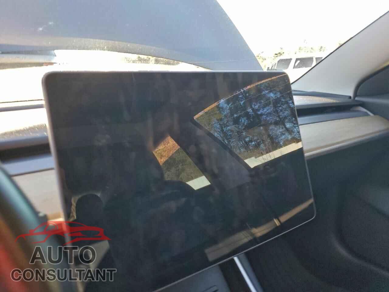 TESLA MODEL 3 2019 - 5YJ3E1EA2KF307650