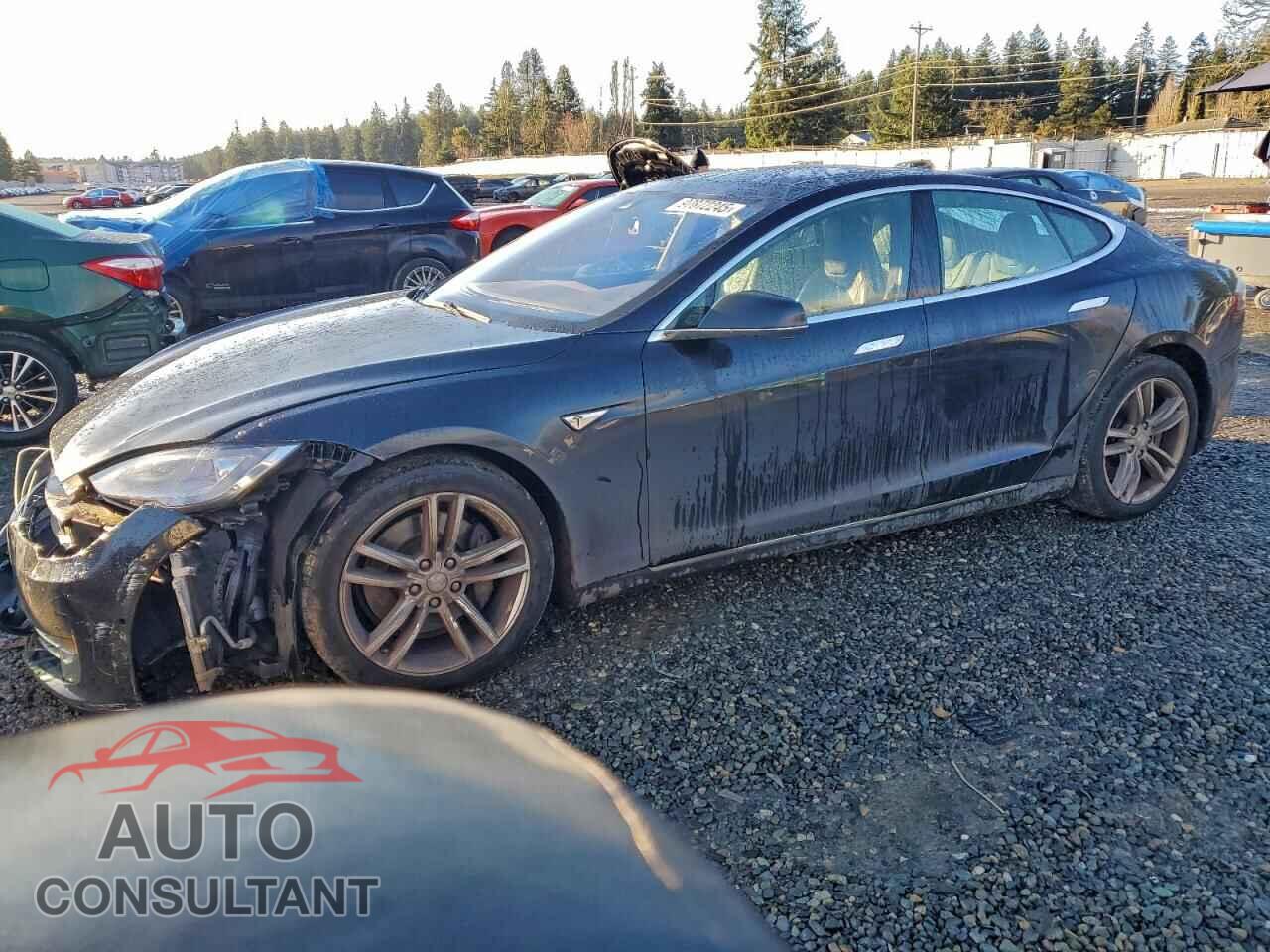 TESLA MODEL S 2015 - 5YJSA1S23FF089986