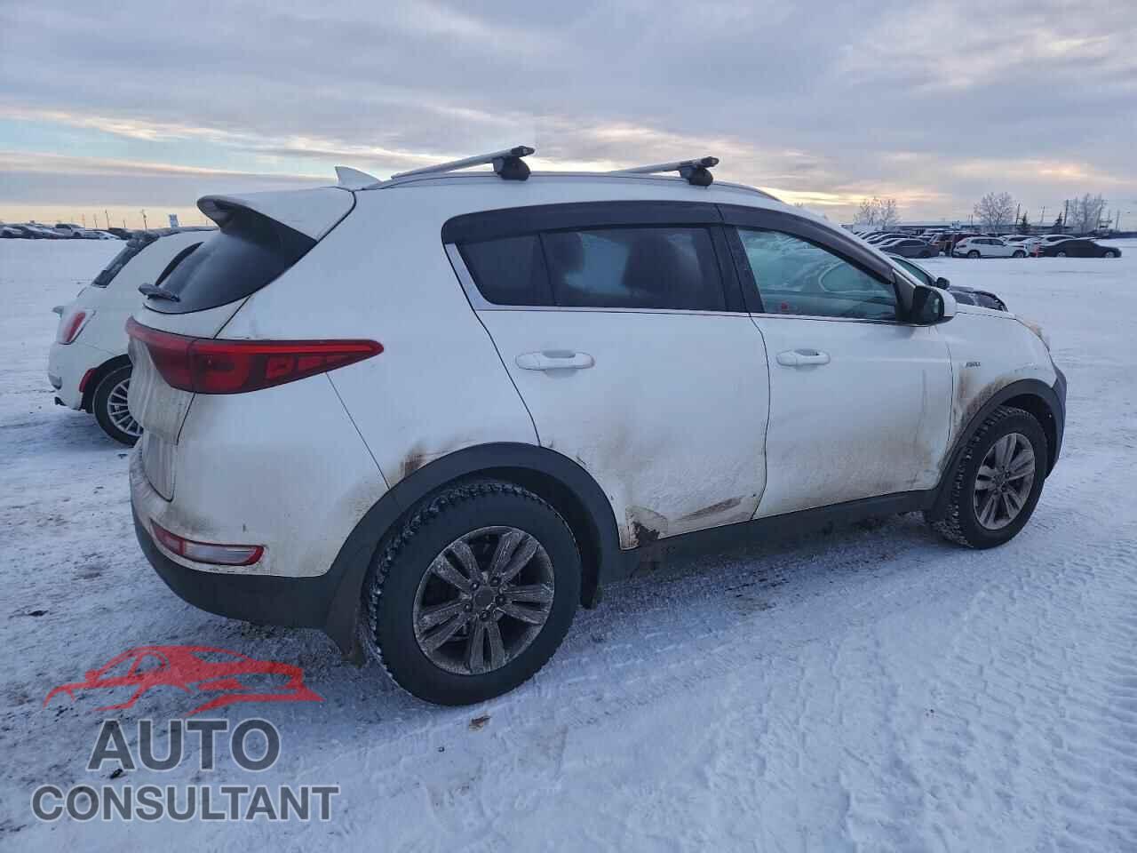 KIA SPORTAGE 2017 - KNDPMCAC5H7044849