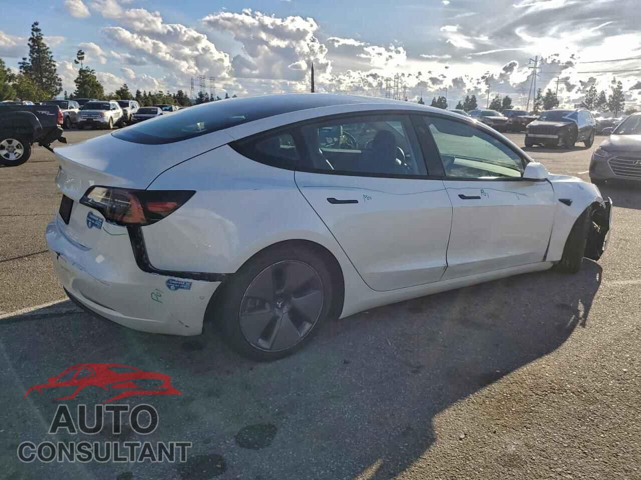 TESLA MODEL 3 2021 - 5YJ3E1EA8MF921394