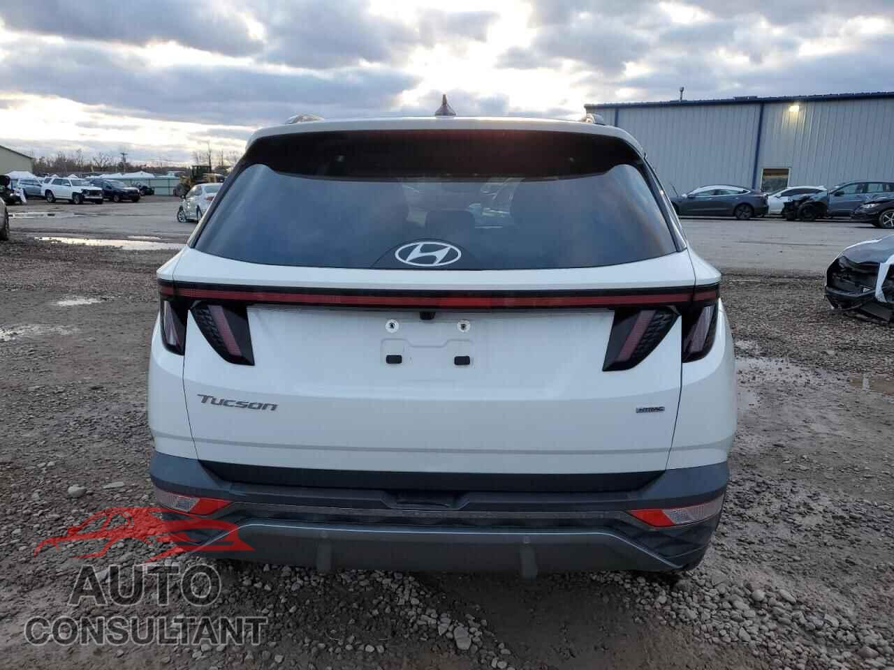 HYUNDAI TUCSON 2023 - 5NMJECAE7PH179357