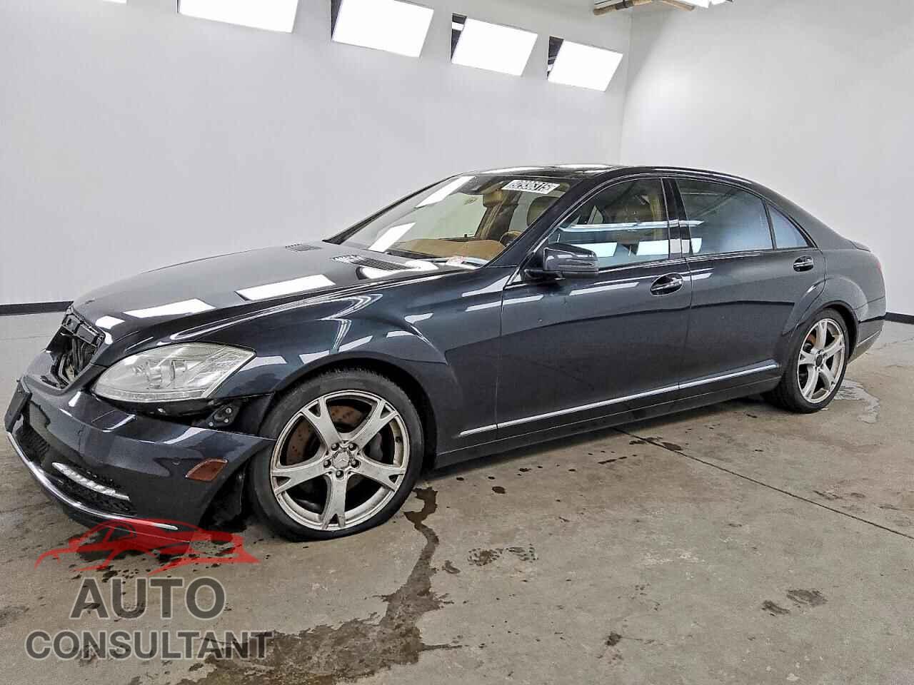 MERCEDES-BENZ S-CLASS 2013 - WDDNG9EBXDA511706