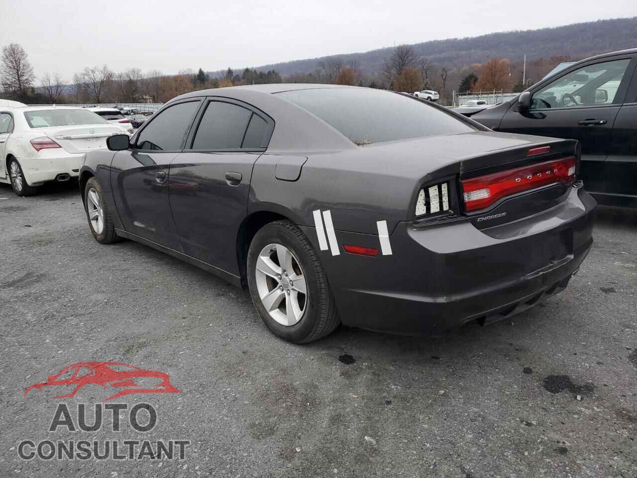 DODGE CHARGER 2014 - 2C3CDXBG1EH366352