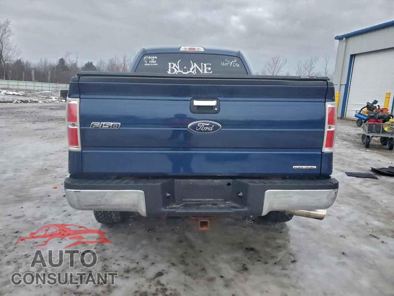 FORD F-150 2012 - 1FTFX1EF2CFC28737
