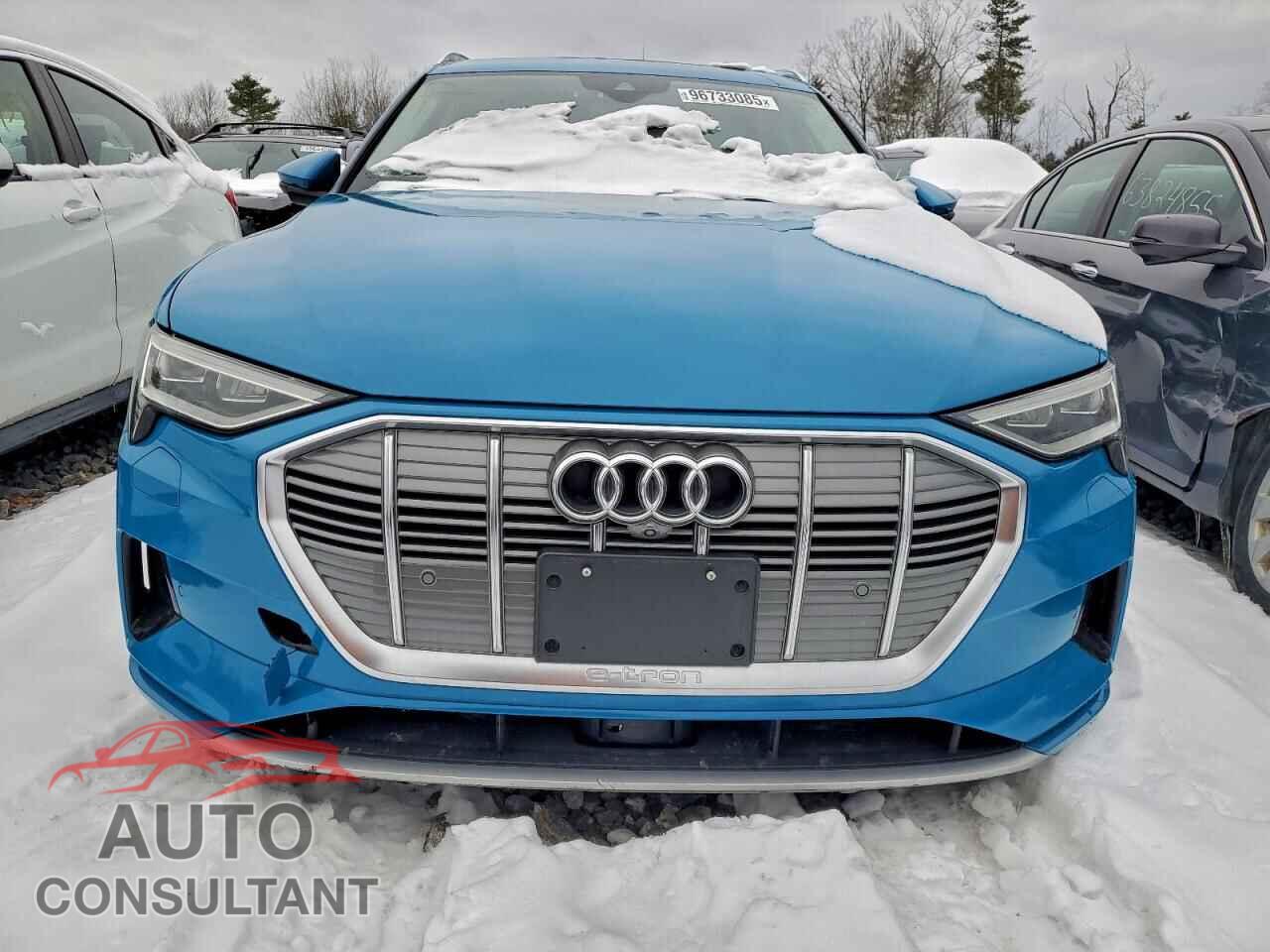 AUDI E-TRON 2019 - WA1VABGE4KB012072