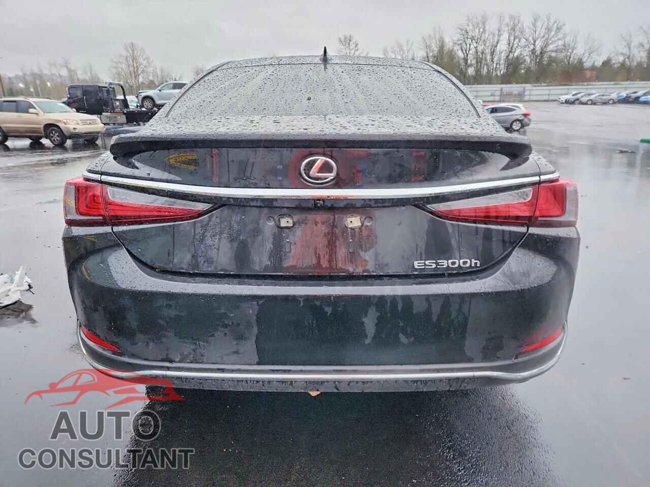 LEXUS ES300 2025 - 58ADA1C19SU065714