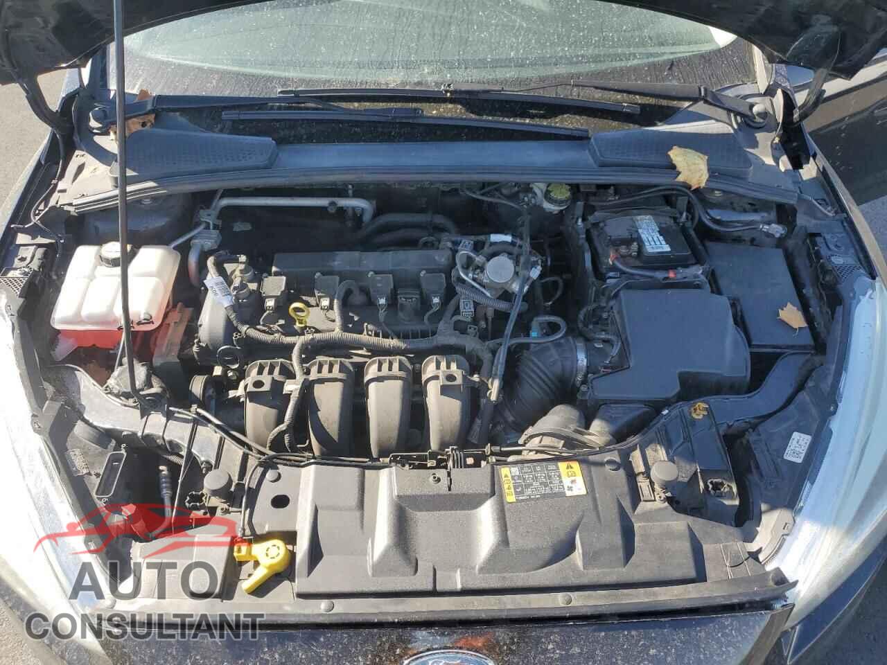 FORD FOCUS 2016 - 1FADP3F22GL365169