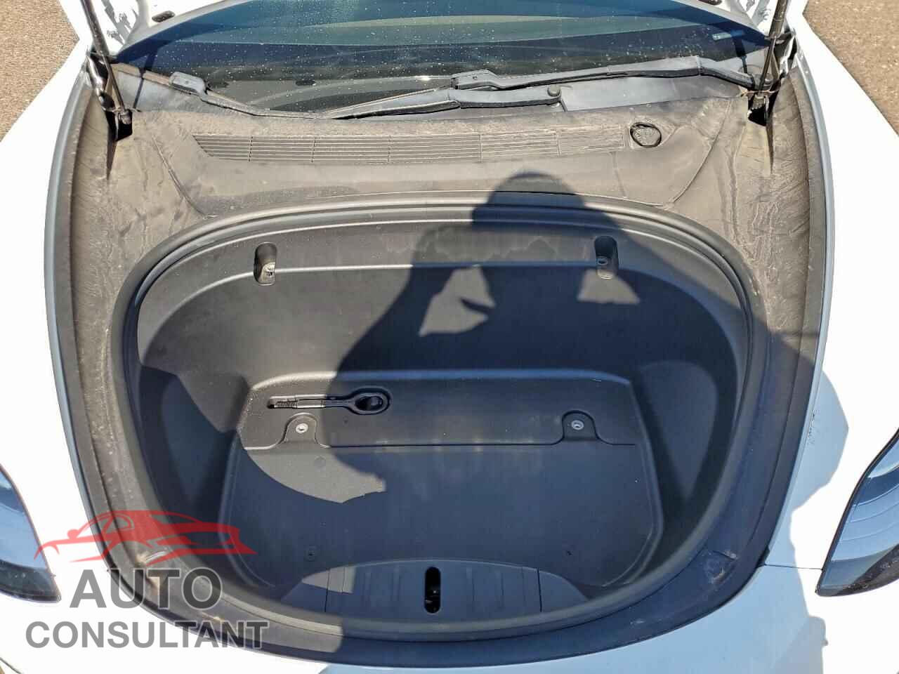 TESLA MODEL 3 2020 - 5YJ3E1EA1LF509641