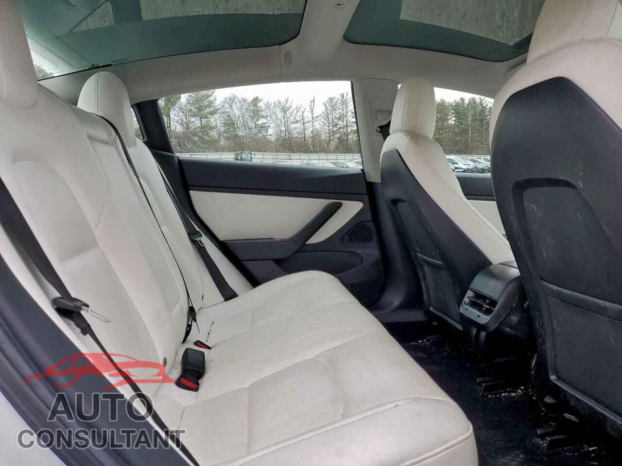 TESLA MODEL 3 2019 - 5YJ3E1EA2KF302044