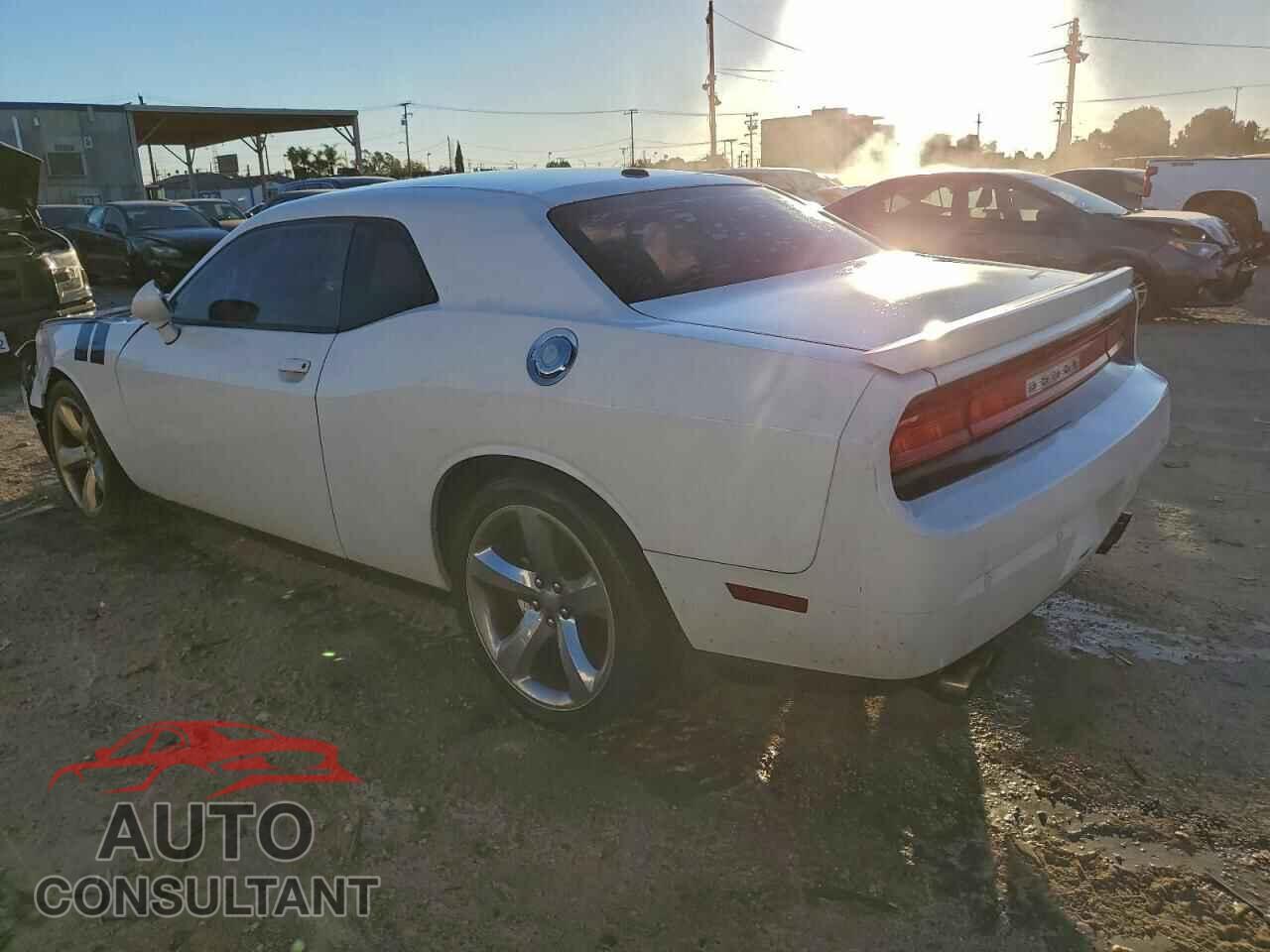 DODGE CHALLENGER 2013 - 2C3CDYAG9DH629192