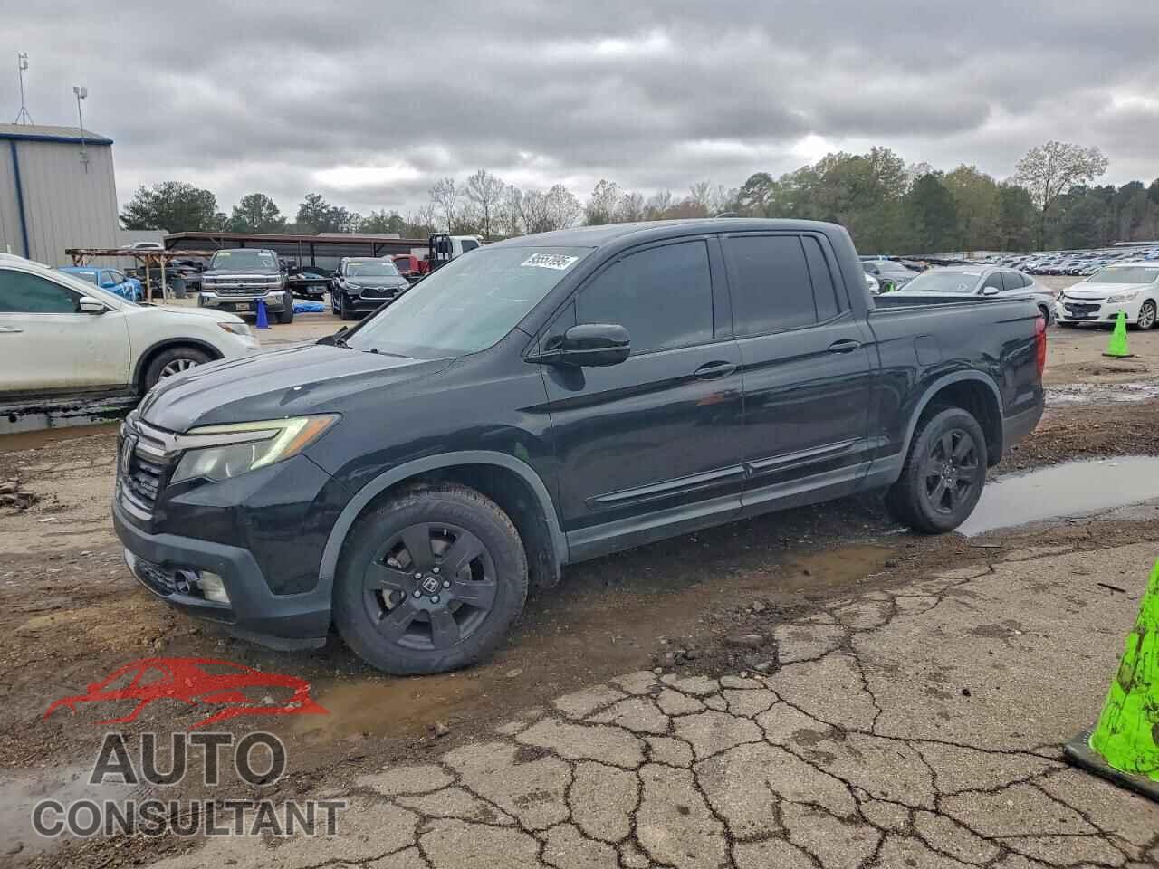 HONDA RIDGELINE 2017 - 5FPYK3F86HB015280