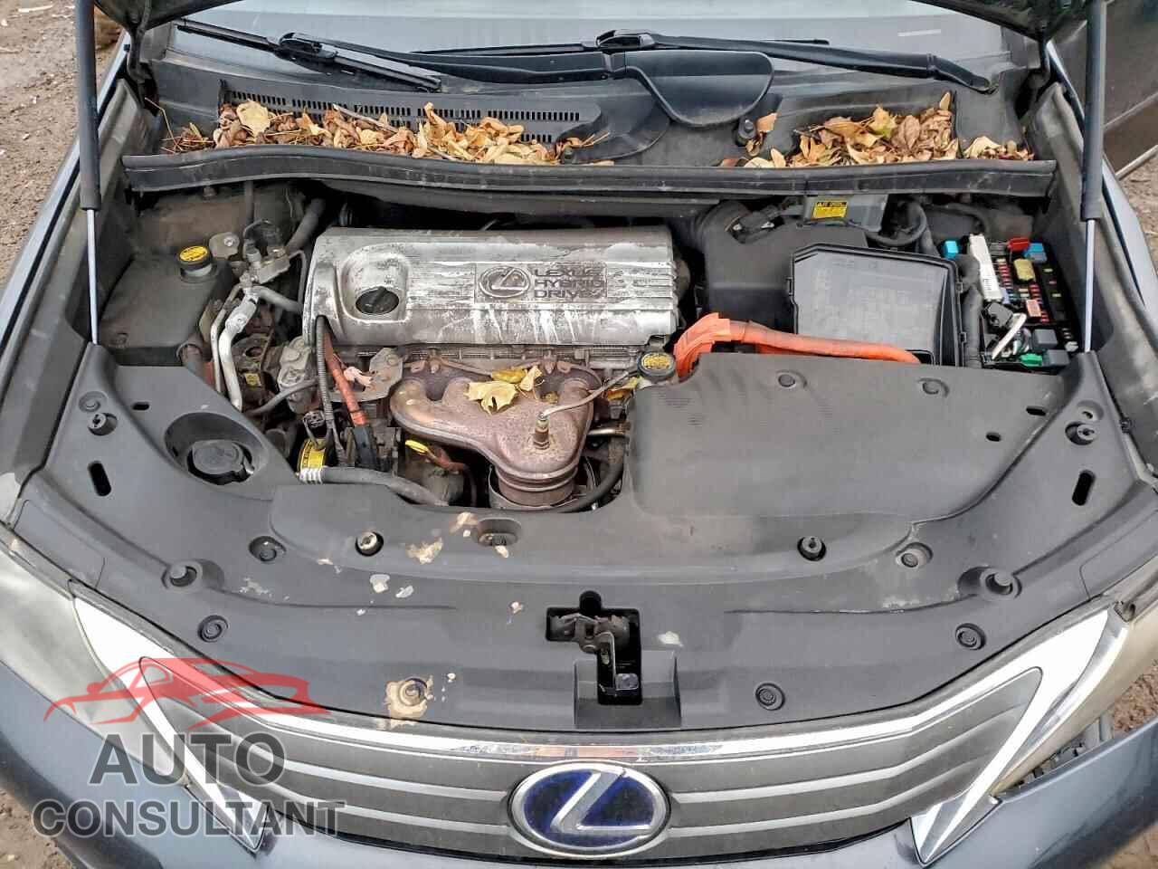 LEXUS HS 2010 - JTHBB1BA3A2020181