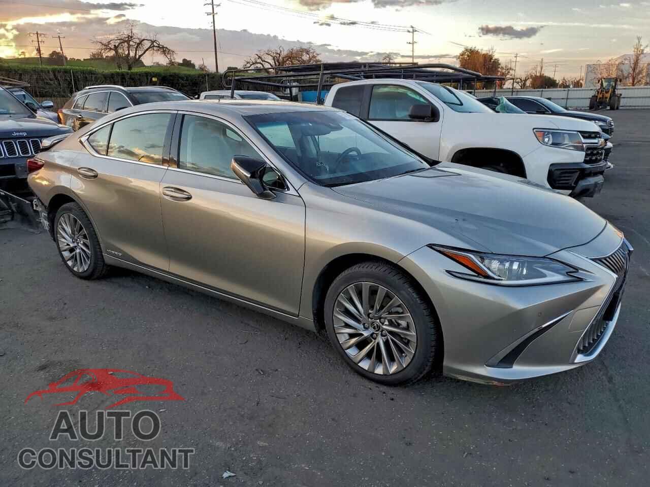 LEXUS ES300 2019 - JTHB21B11K2016499