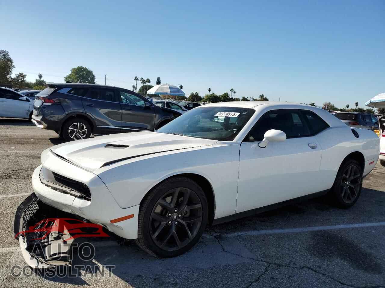 DODGE CHALLENGER 2019 - 2C3CDZAG4KH557904