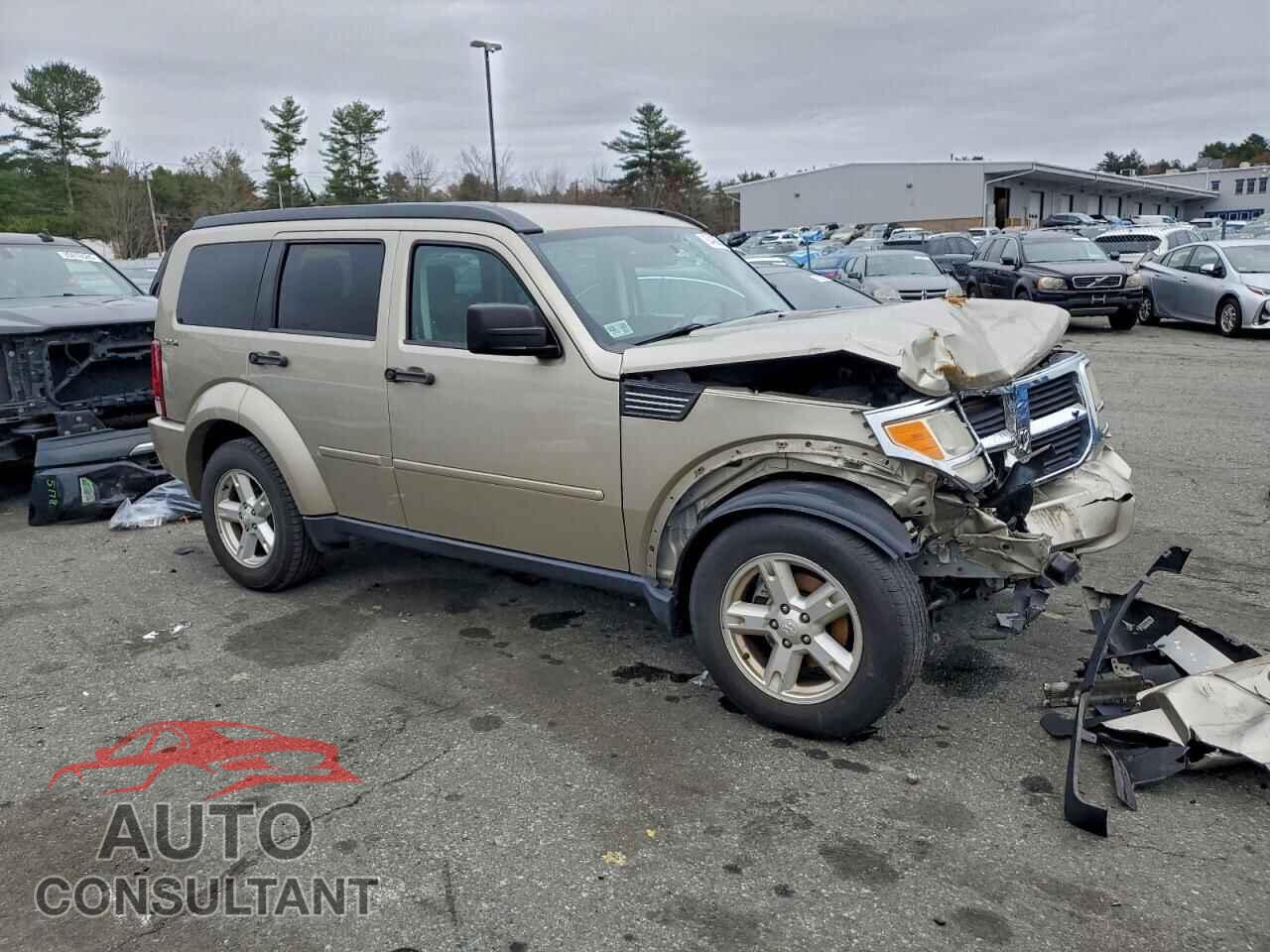 DODGE NITRO 2010 - 1D4PU2GK1AW114807
