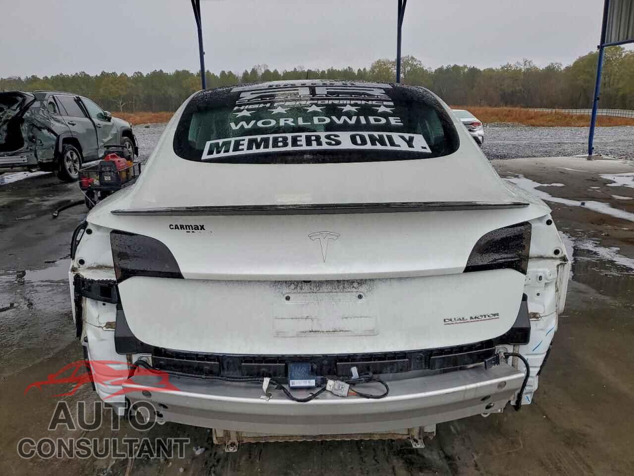 TESLA MODEL 3 2019 - 5YJ3E1EB3KF487309