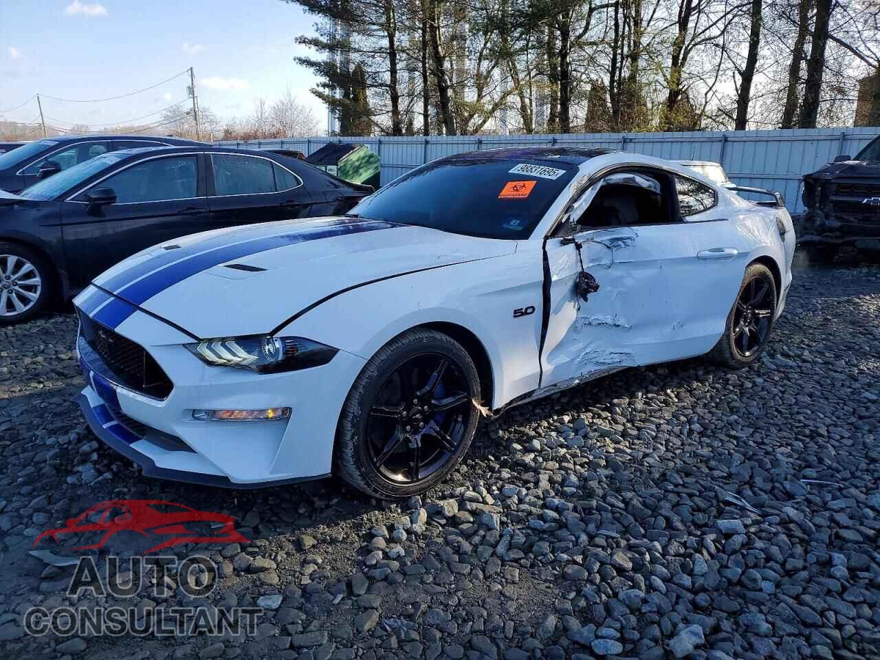 FORD MUSTANG 2019 - 1FA6P8CF2K5142706