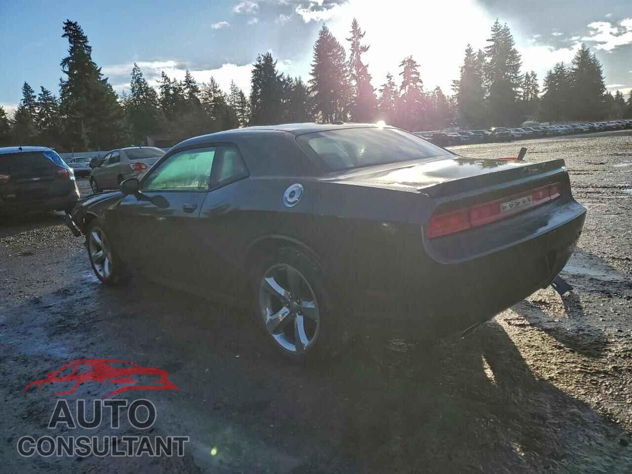 DODGE CHALLENGER 2013 - 2C3CDYBT5DH670303