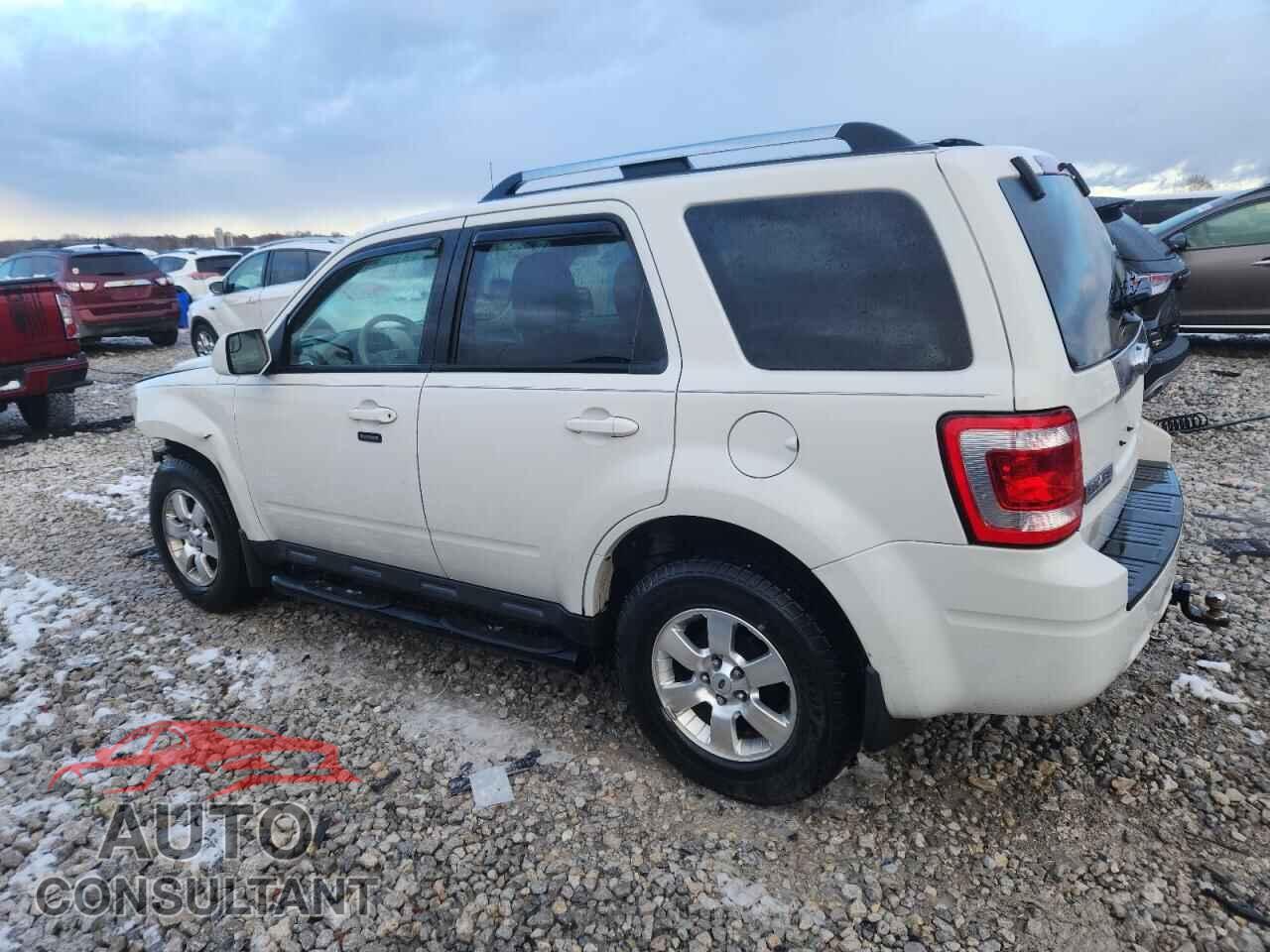 FORD ESCAPE 2011 - 1FMCU0EG2BKB19565