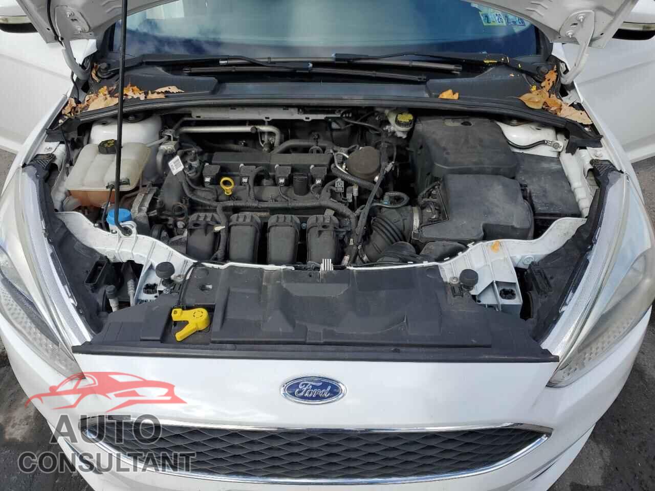 FORD FOCUS 2016 - 1FADP3K24GL236128