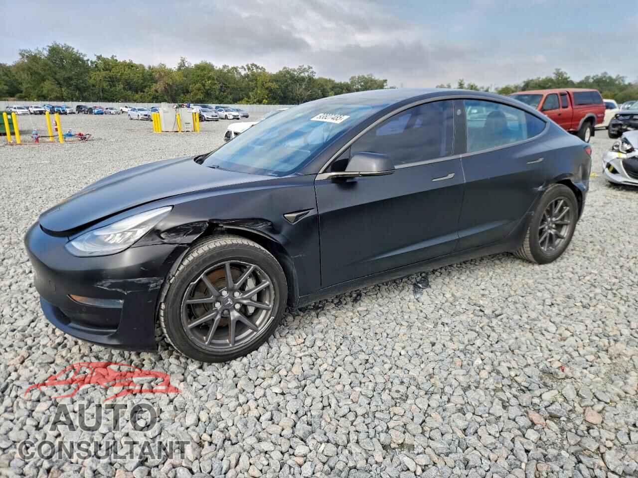 TESLA MODEL 3 2019 - 5YJ3E1EA1KF397907