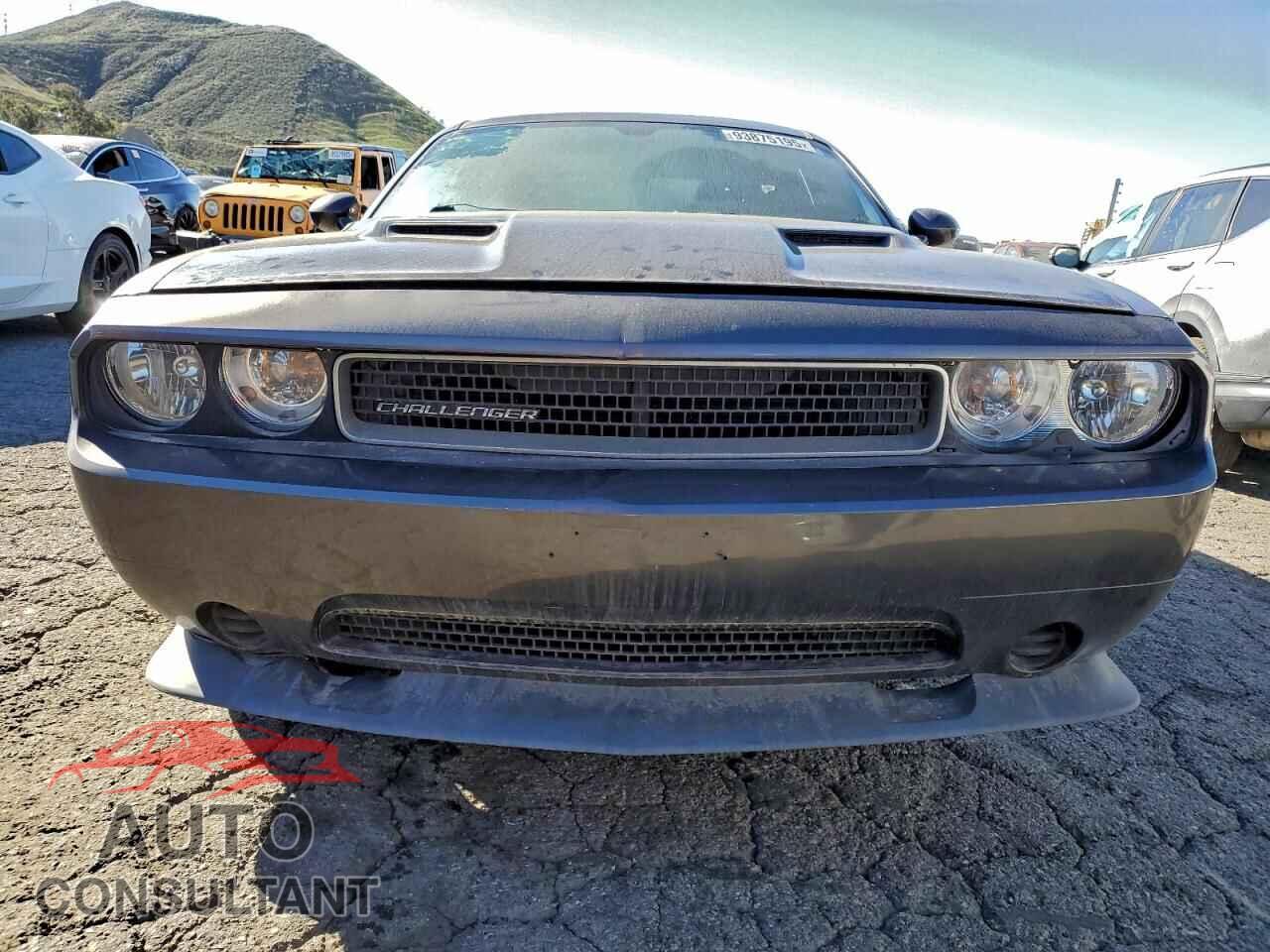 DODGE CHALLENGER 2013 - 2C3CDYAGXDH663139