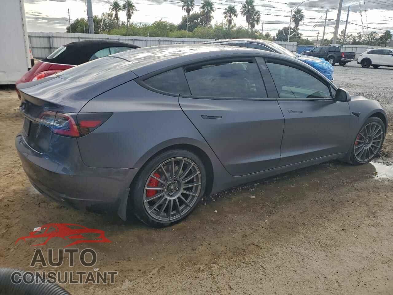 TESLA MODEL 3 2021 - 5YJ3E1EC3MF981150
