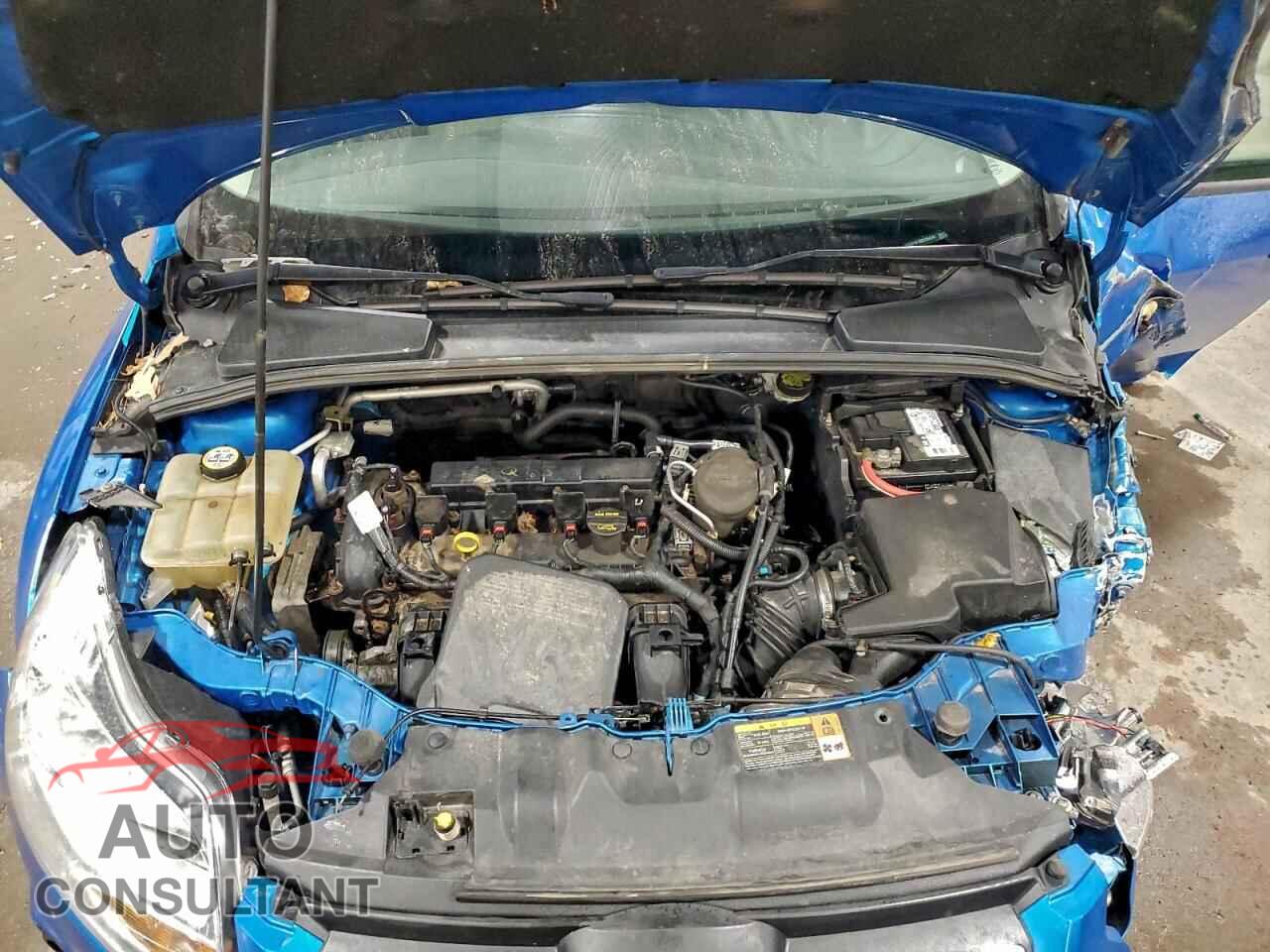 FORD FOCUS 2013 - 1FADP3F26DL284347