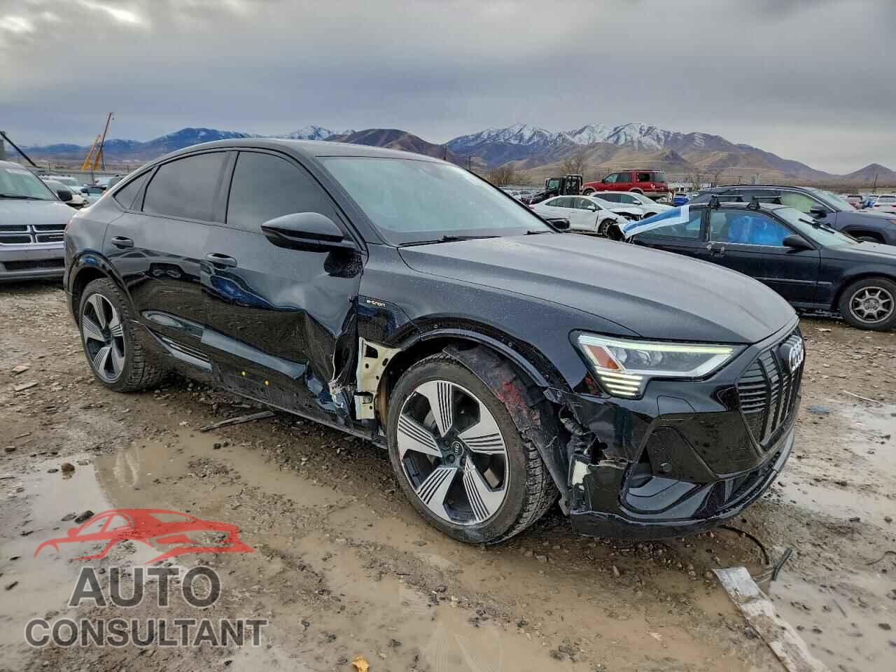 AUDI E-TRON 2021 - WA13AAGE6MB038399