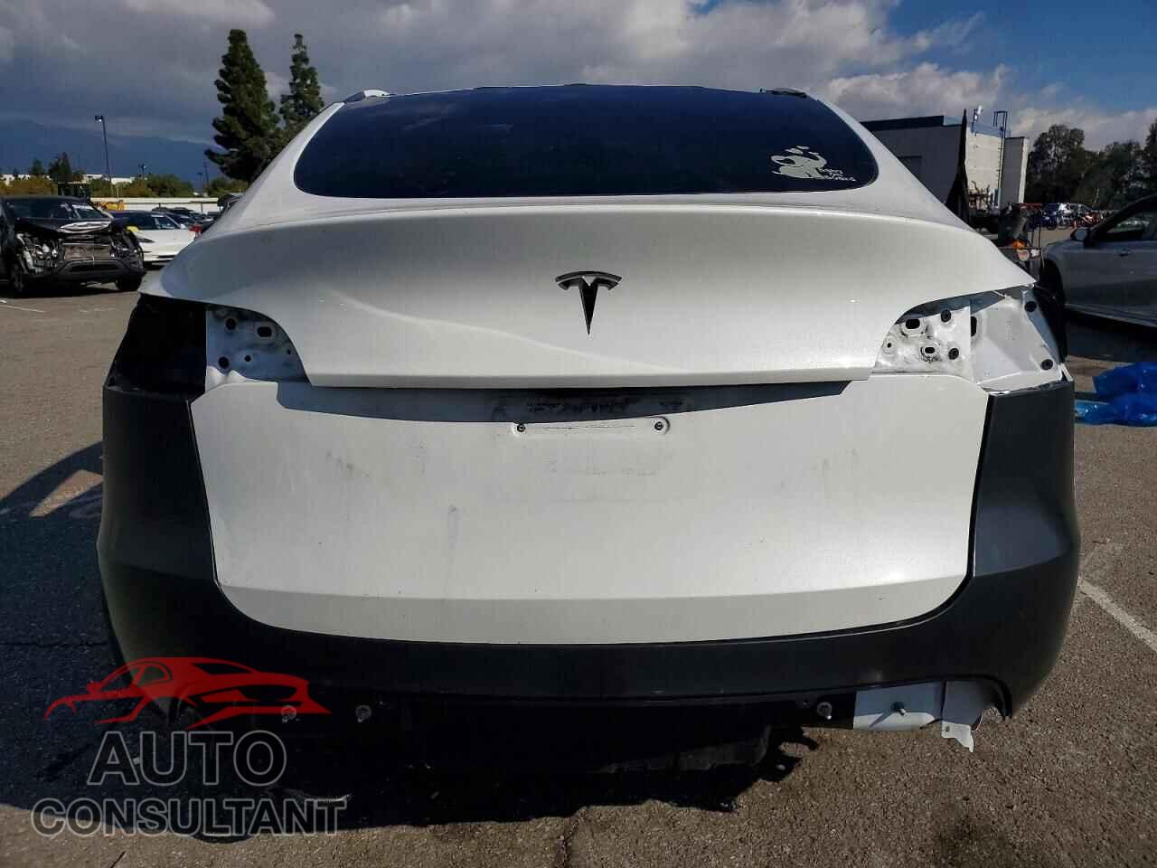 TESLA MODEL Y 2024 - 7SAYGDED2RF164076