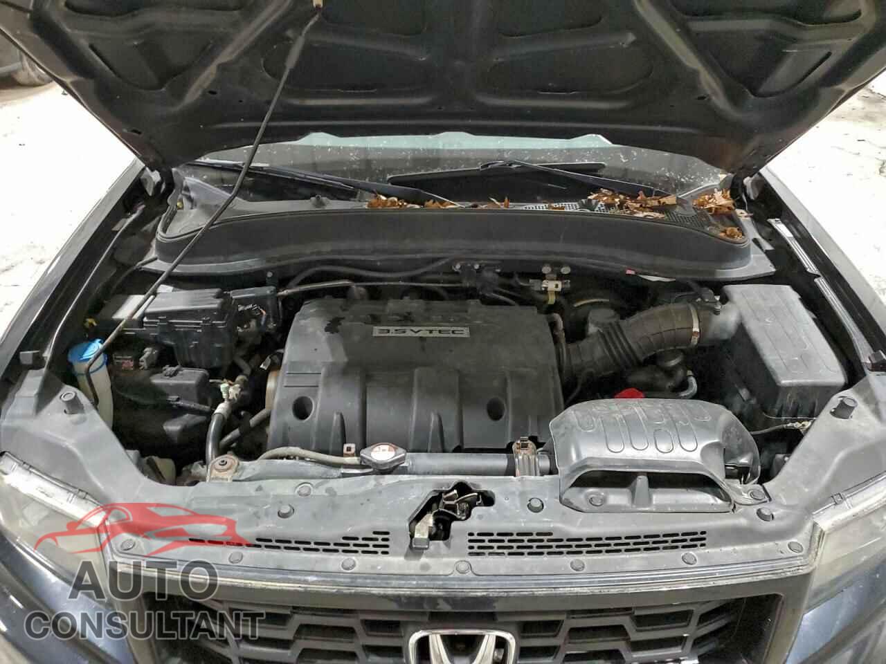 HONDA RIDGELINE 2012 - 5FPYK1F75CB456063