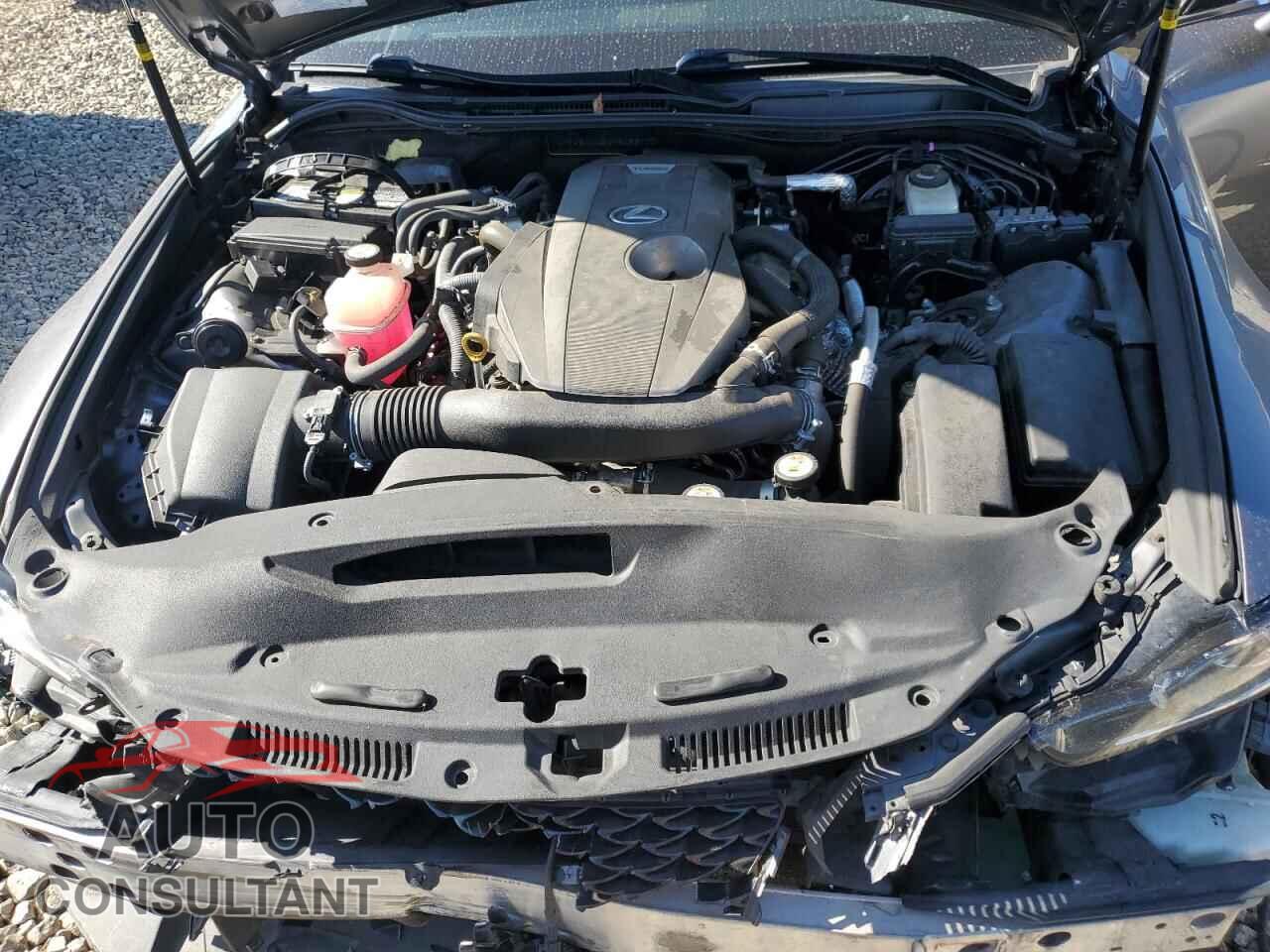 LEXUS IS 2019 - JTHBA1D20K5093100