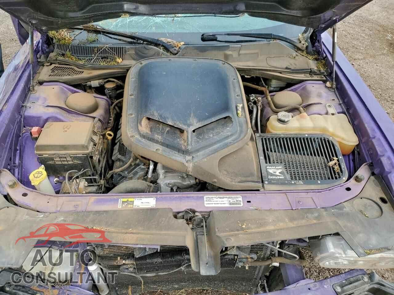 DODGE CHALLENGER 2014 - 2C3CDYDJ4EH196664
