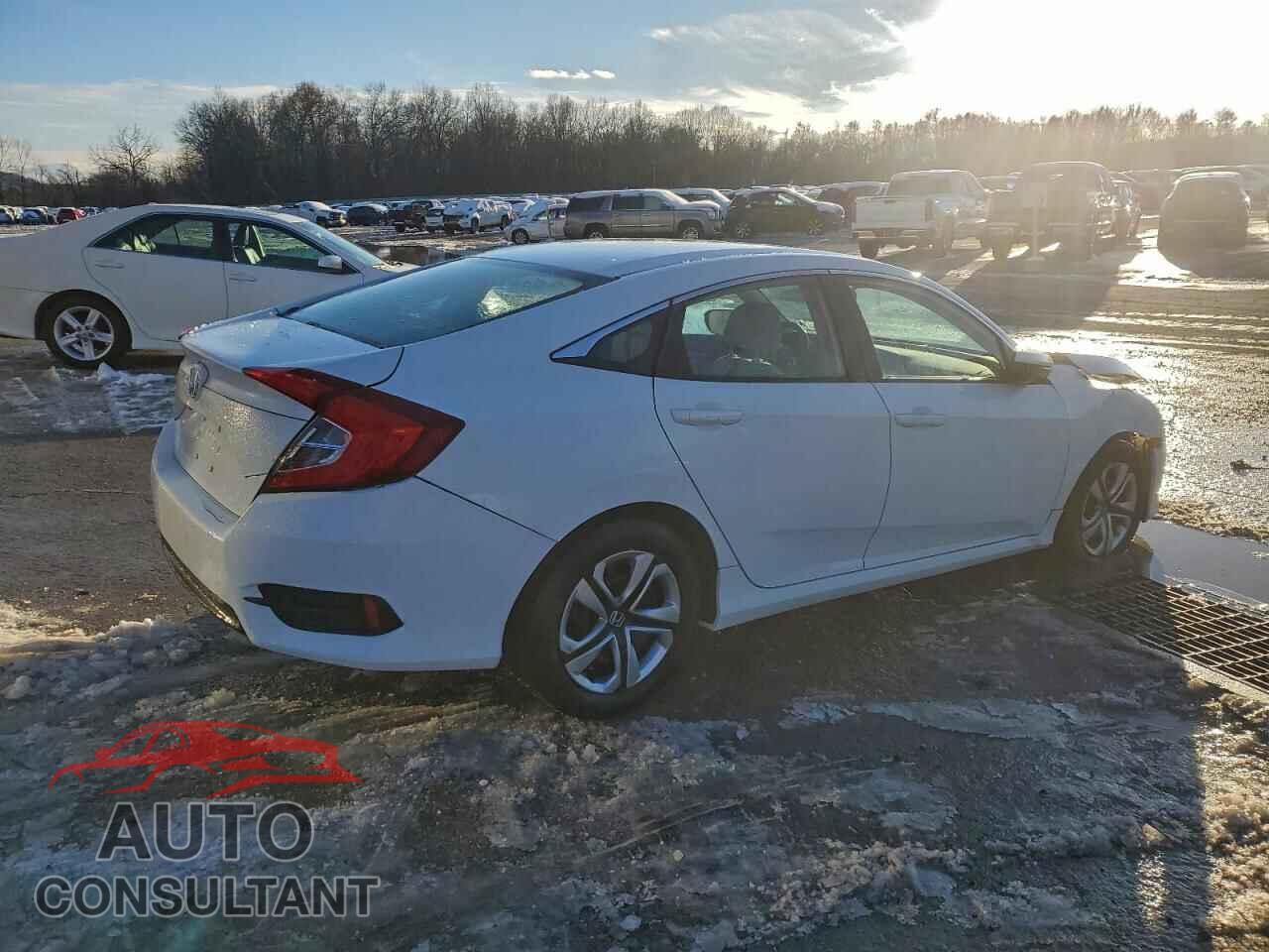 HONDA CIVIC 2017 - 2HGFC2F54HH554814