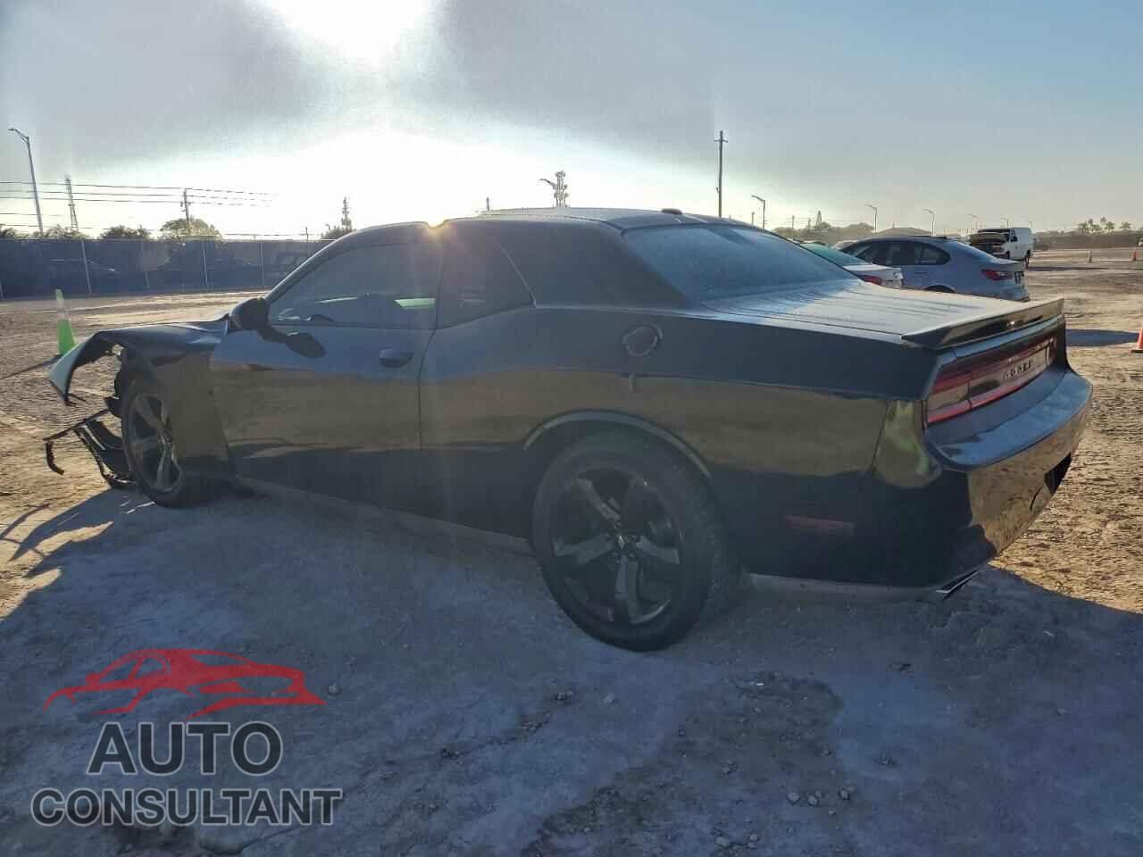 DODGE CHALLENGER 2013 - 2C3CDYAG4DH619959