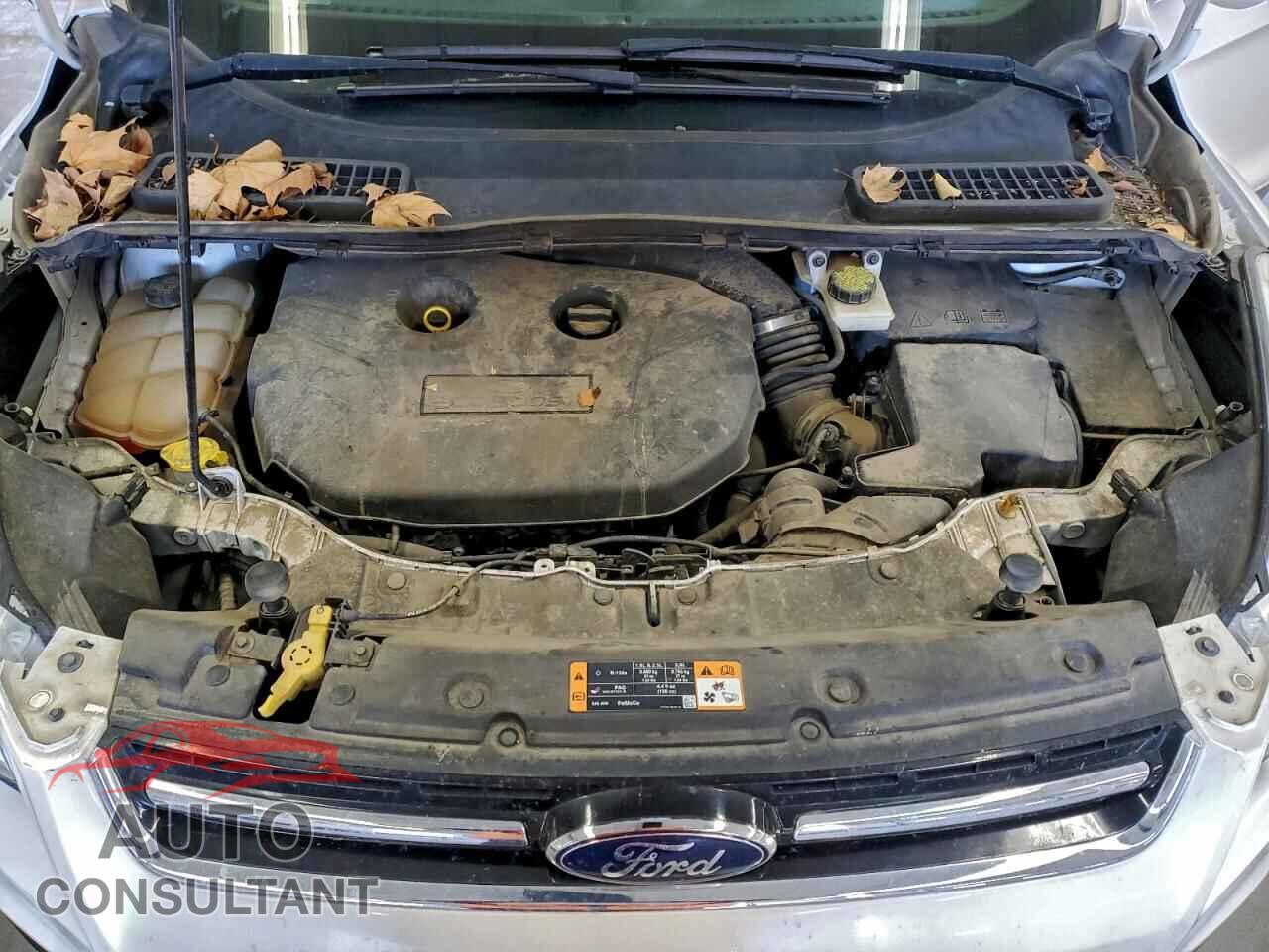 FORD ESCAPE 2016 - 1FMCU9J93GUB73447