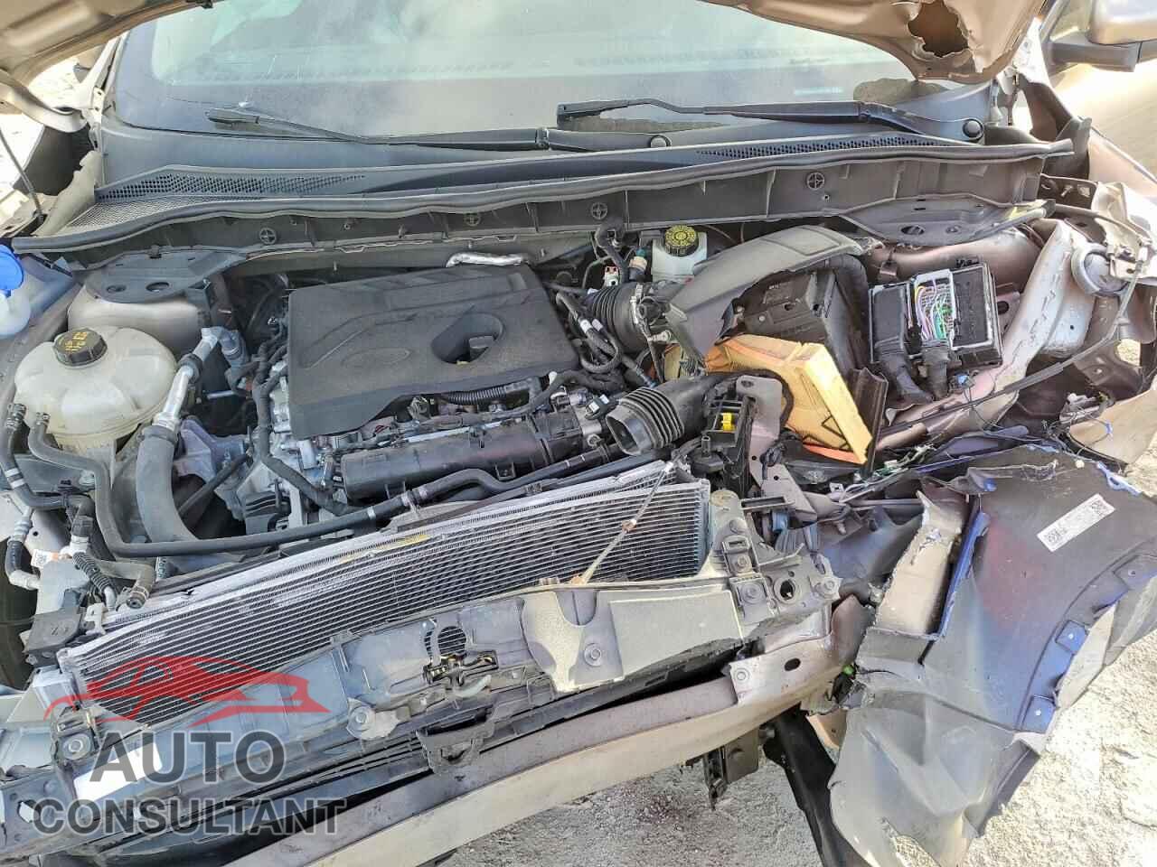 FORD ESCAPE 2020 - 1FMCU9G62LUA52190
