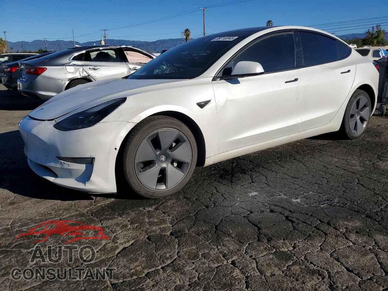 TESLA MODEL 3 2021 - 5YJ3E1EA1MF961588