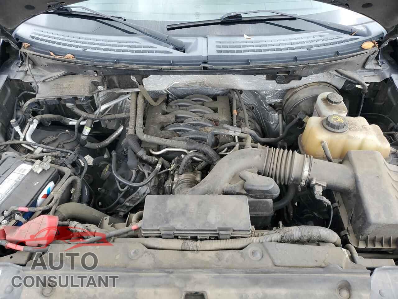 FORD F-150 2011 - 1FTFW1CF4BKD56523