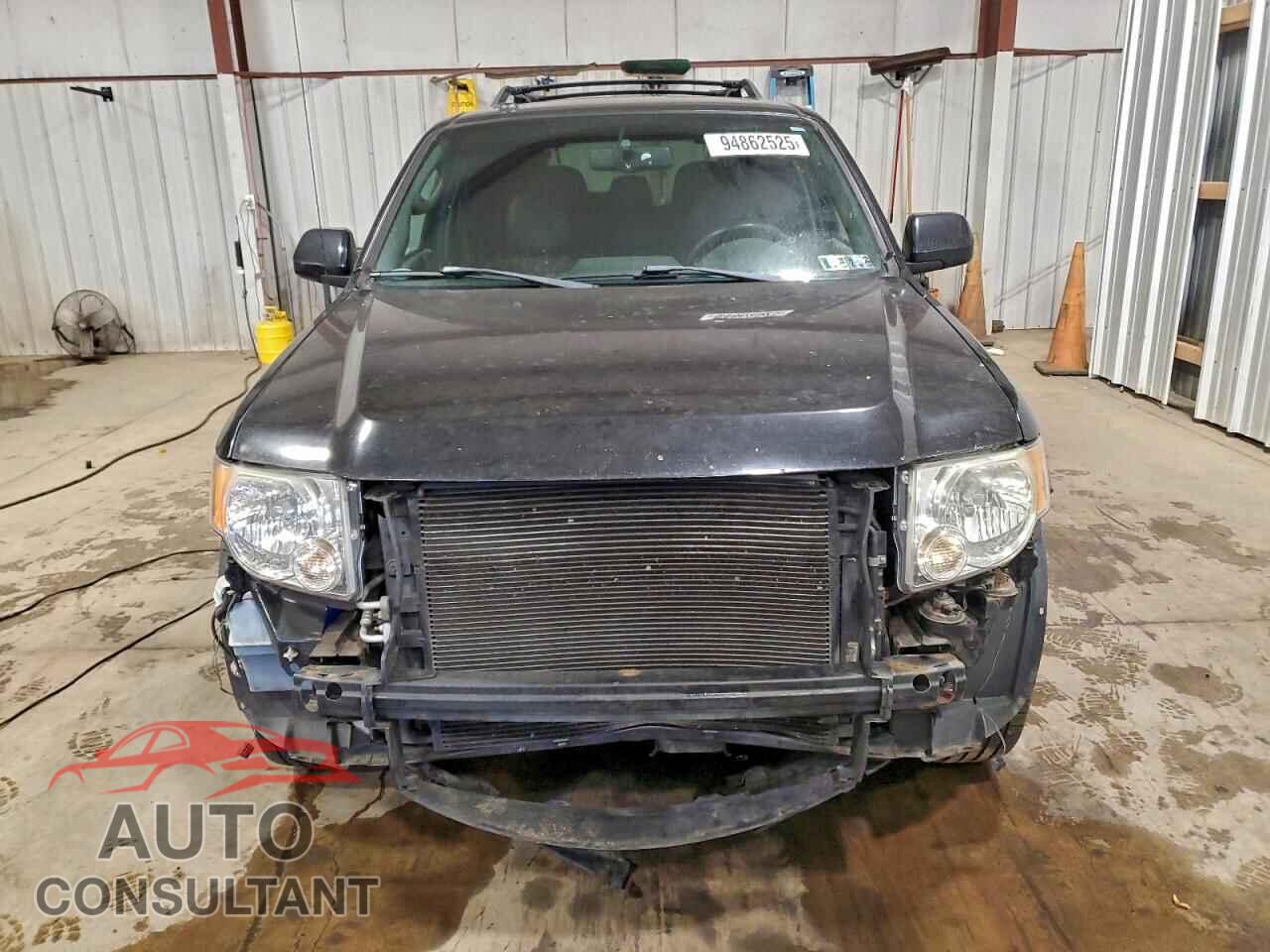 FORD ESCAPE 2011 - 1FMCU9EG7BKC08391