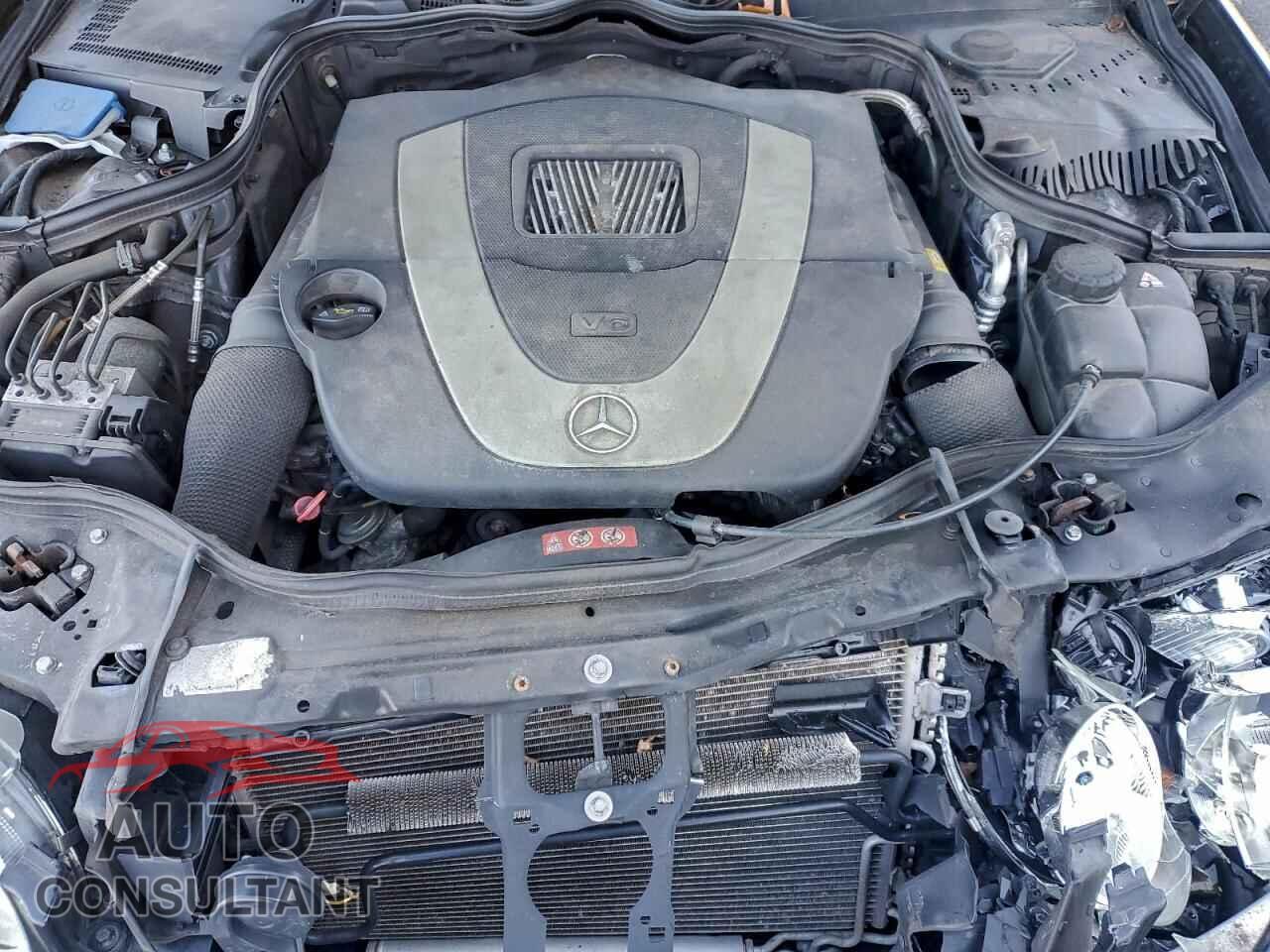MERCEDES-BENZ E-CLASS 2009 - WDBUF87XX9B384175