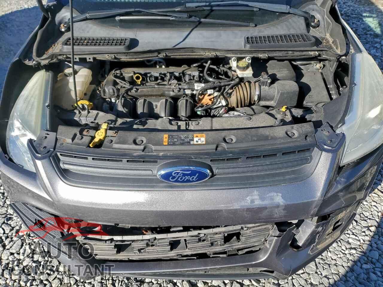 FORD ESCAPE 2013 - 1FMCU0F74DUC06079