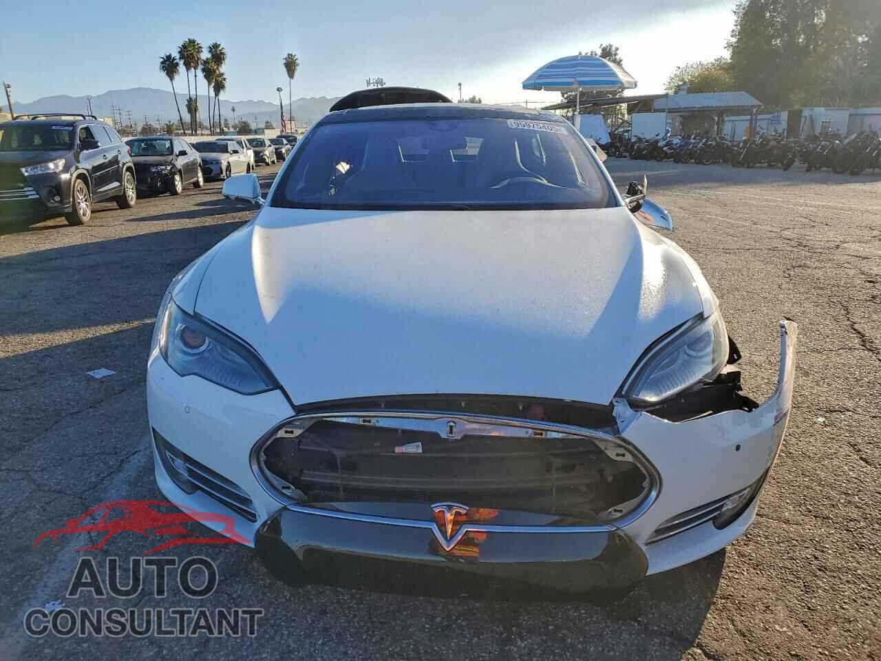 TESLA MODEL S 2015 - 5YJSA1S22FF090501