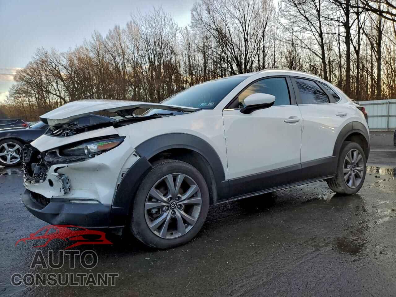 MAZDA CX30 2023 - 3MVDMBCM7PM539852