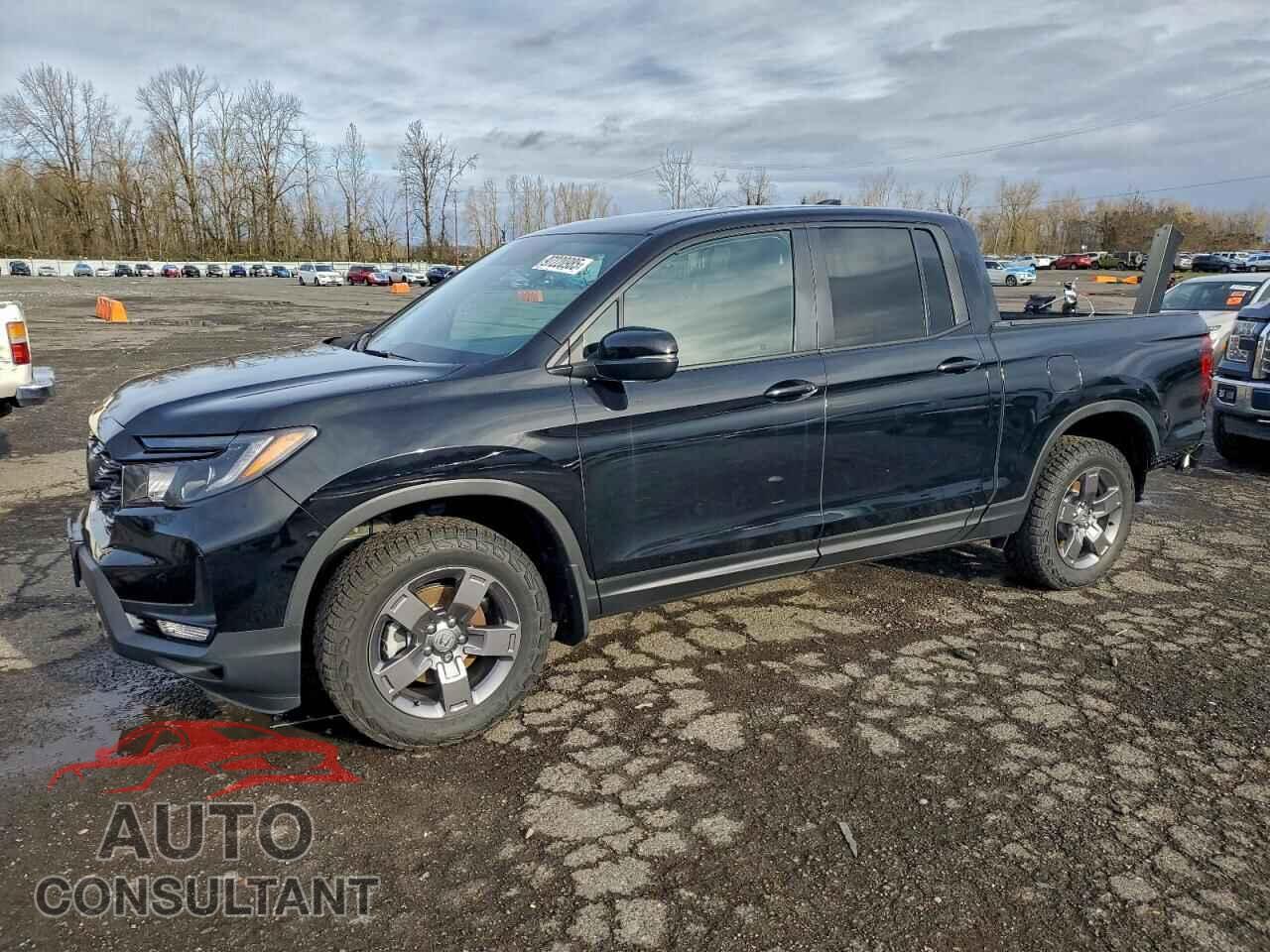HONDA RIDGELINE 2024 - 5FPYK3F65RB026559